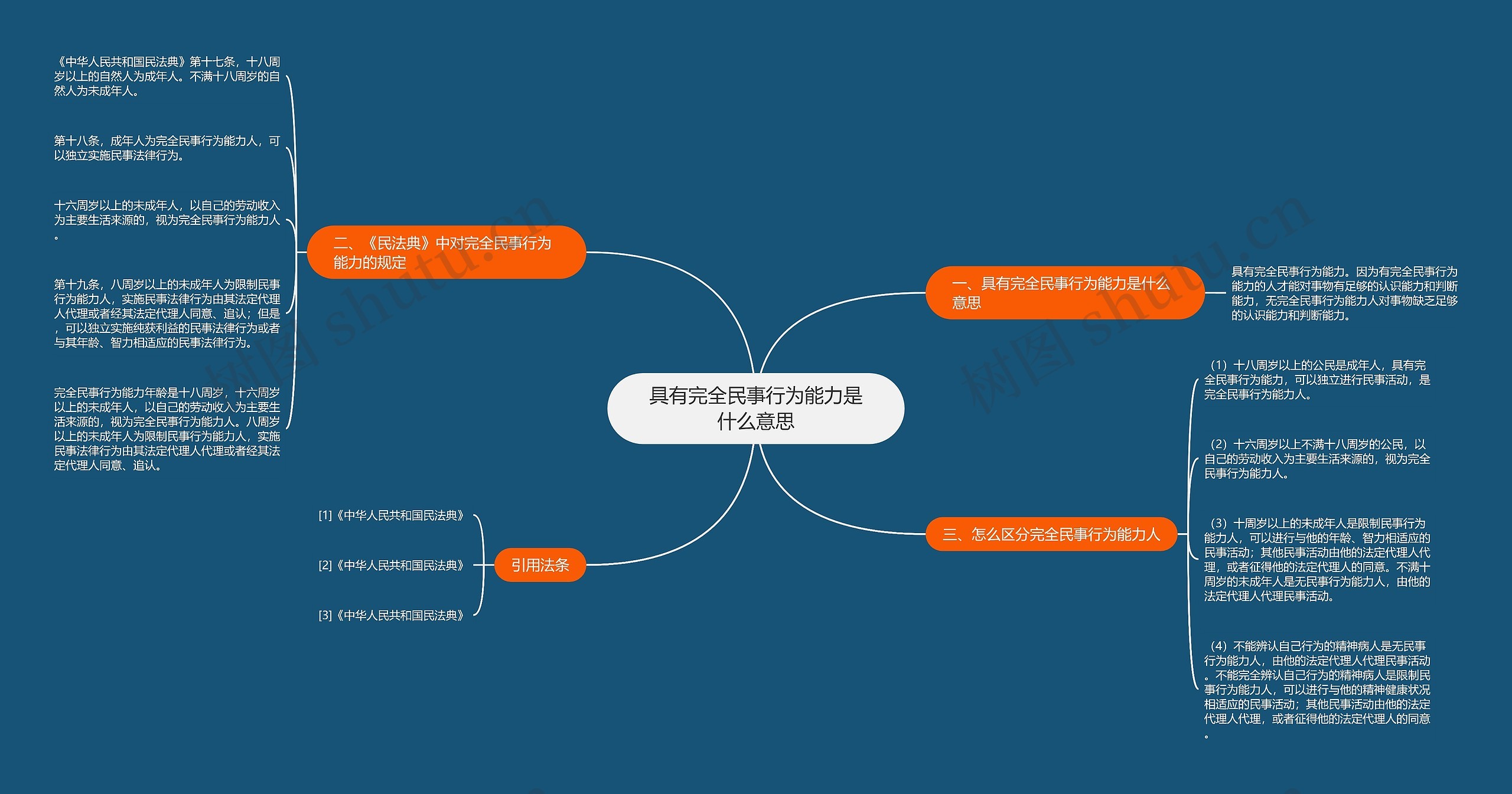 具有完全民事行为能力是什么意思思维导图