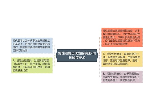 慢性胆囊炎诱发的病因-内科诊疗技术