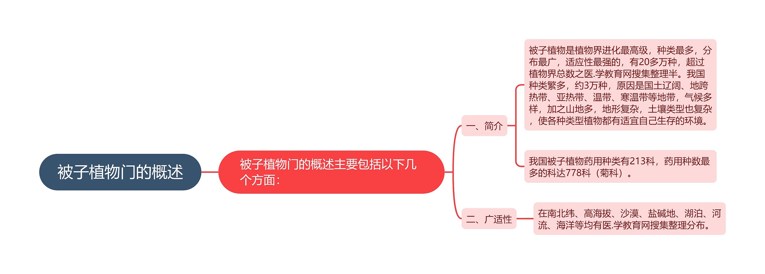 被子植物门的概述思维导图