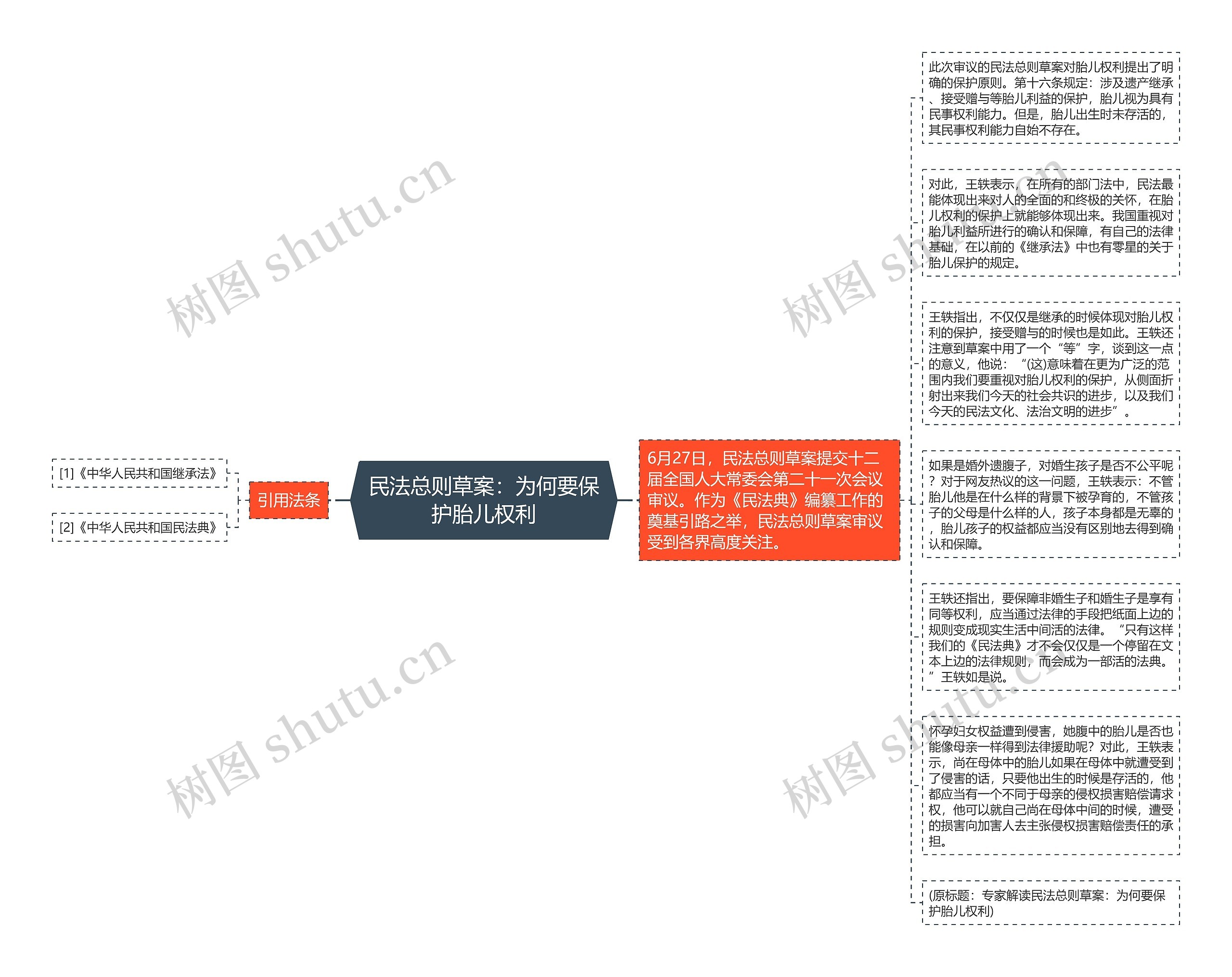 民法总则草案：为何要保护胎儿权利思维导图