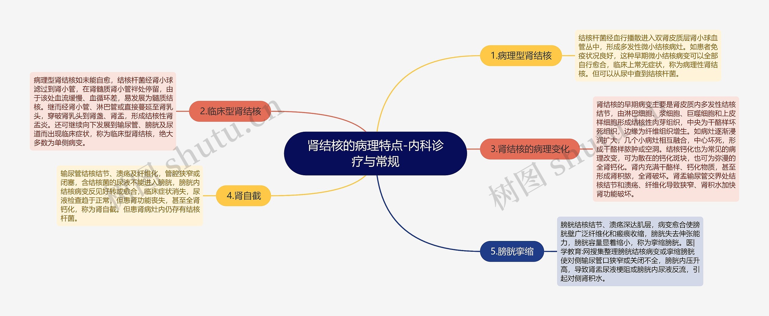 肾结核的病理特点-内科诊疗与常规思维导图