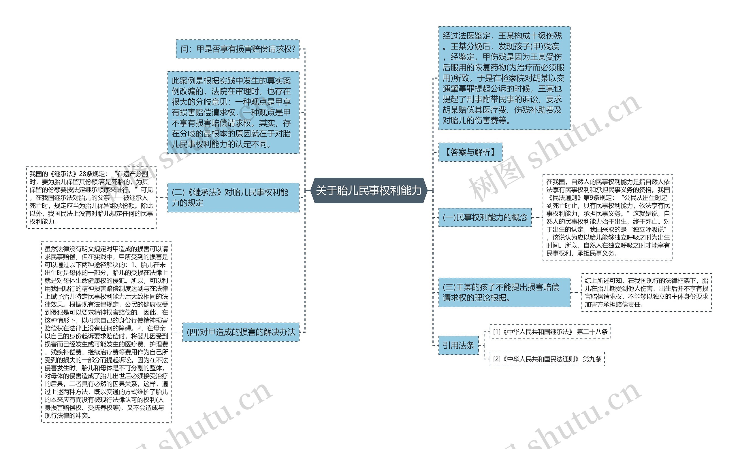 关于胎儿民事权利能力思维导图