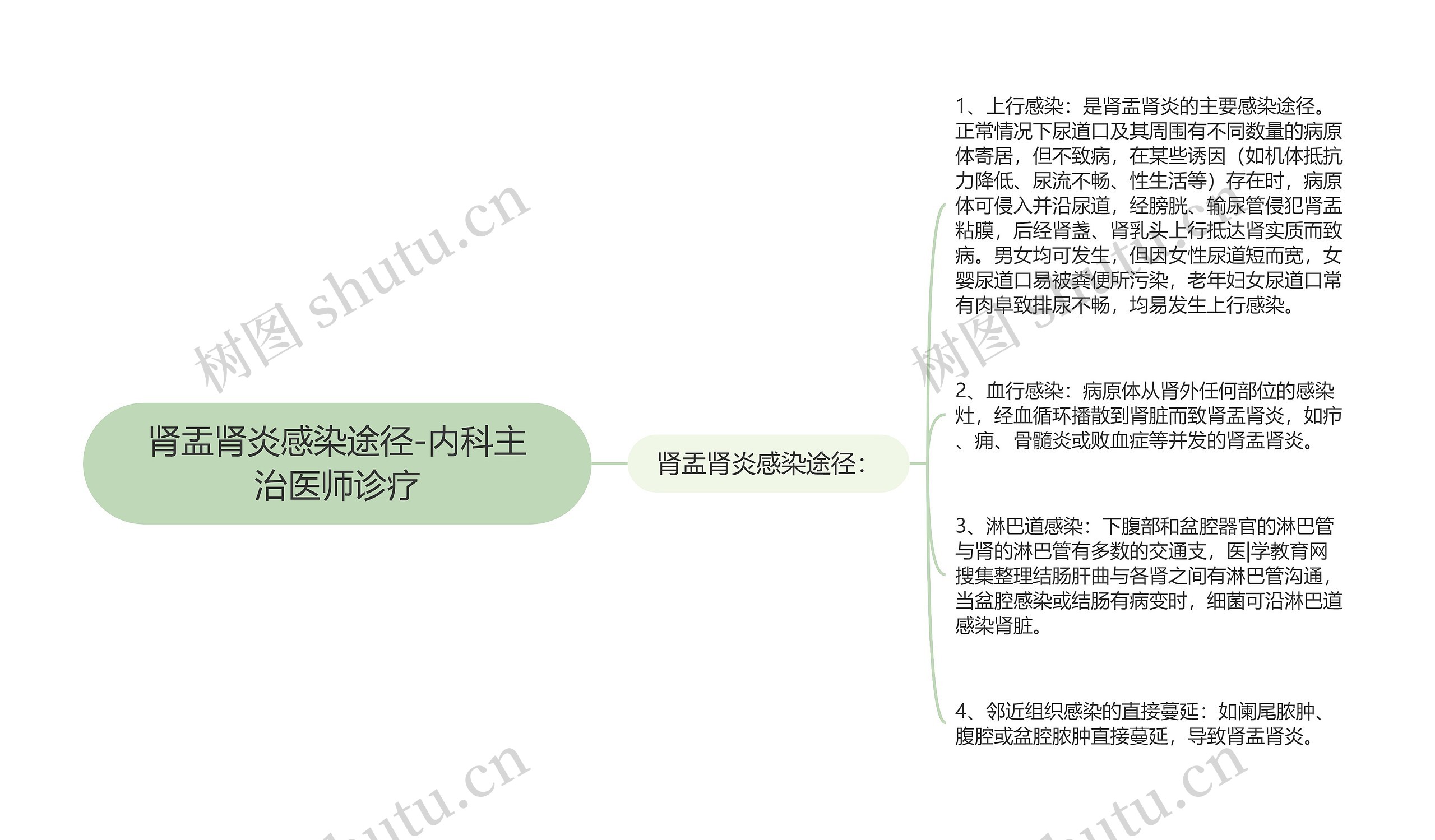 肾盂肾炎感染途径-内科主治医师诊疗思维导图