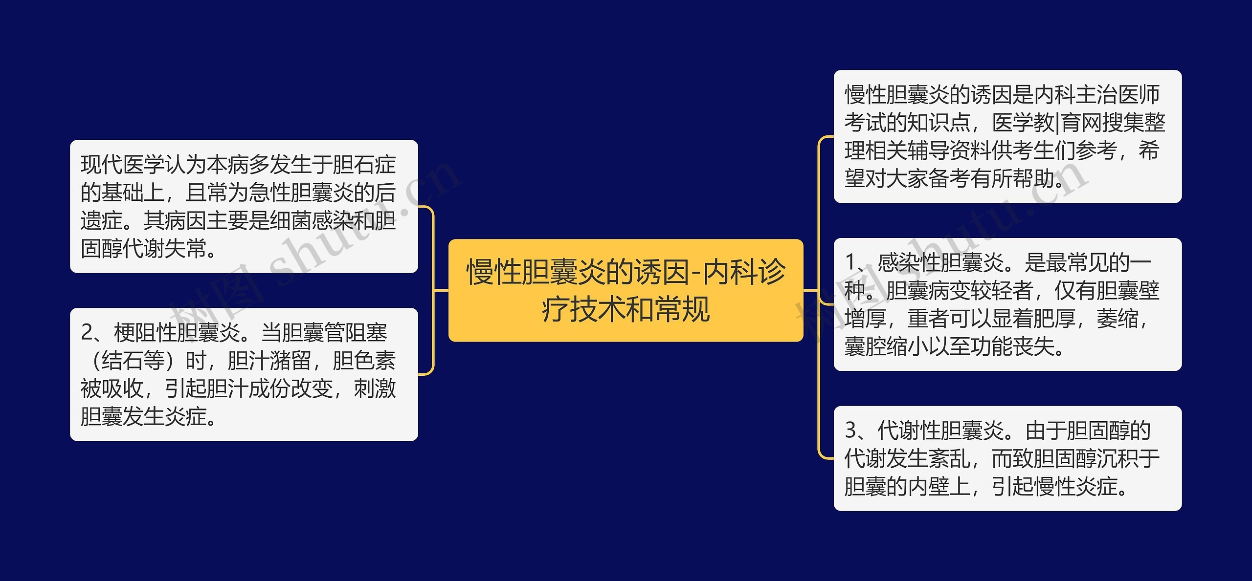 慢性胆囊炎的诱因-内科诊疗技术和常规思维导图