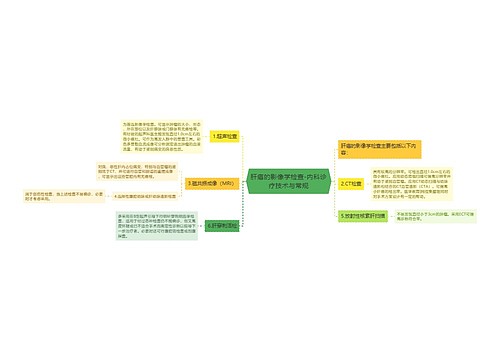 肝癌的影像学检查-内科诊疗技术与常规