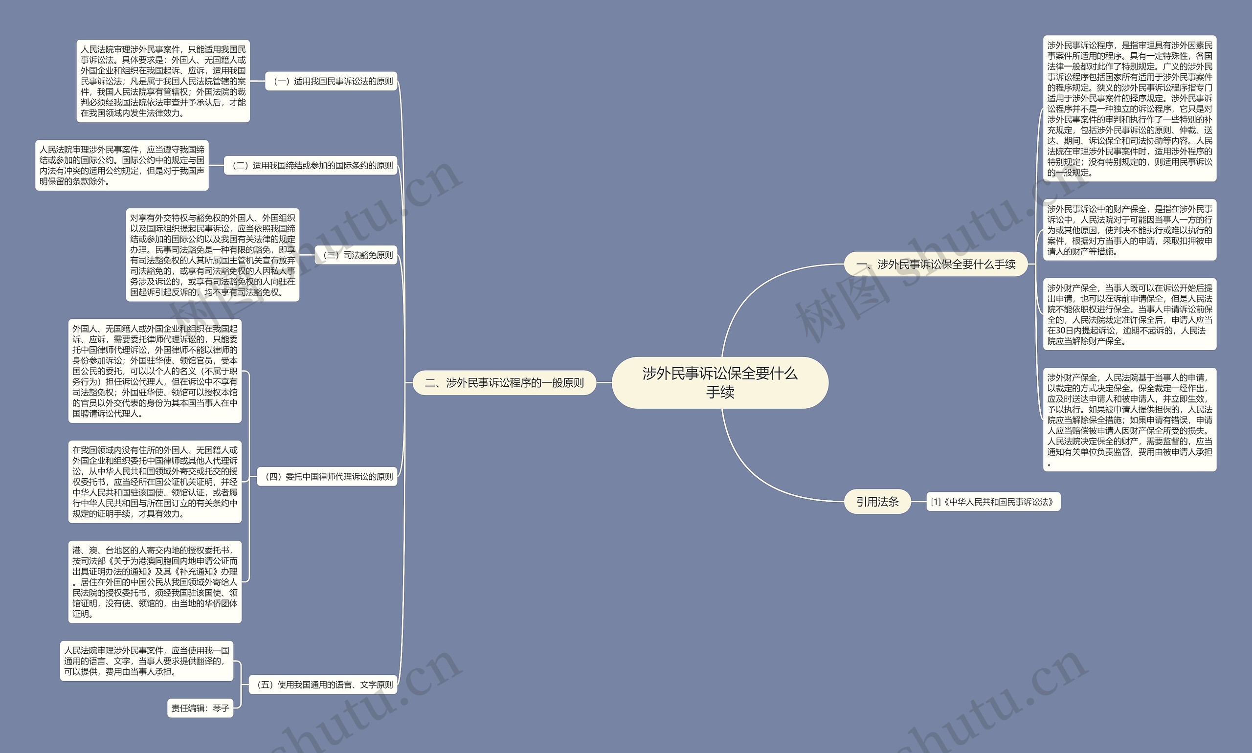 涉外民事诉讼保全要什么手续思维导图