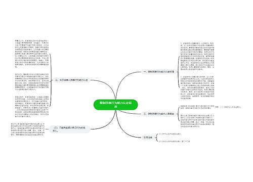 限制民事行为能力认定标准