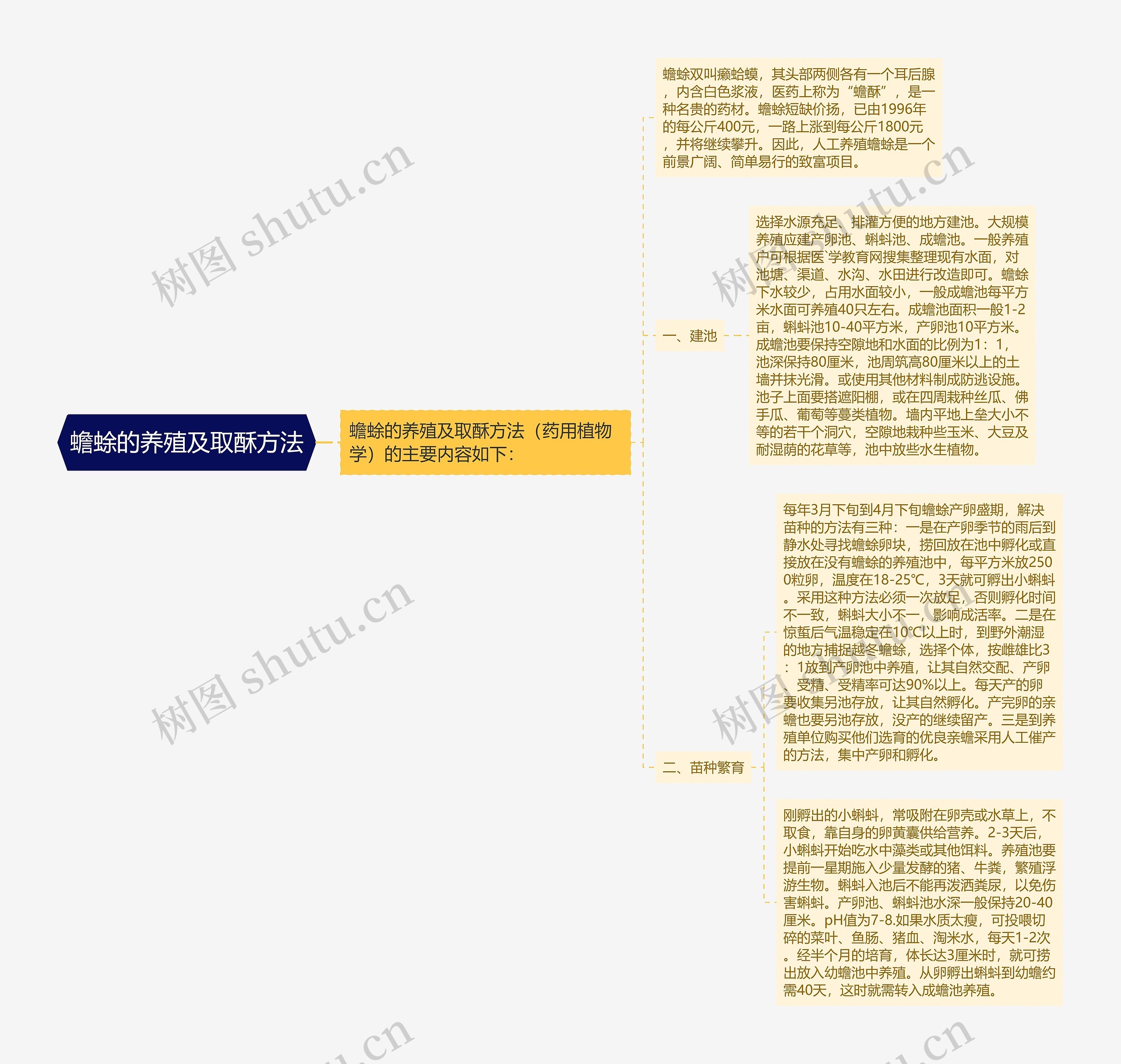 蟾蜍的养殖及取酥方法 蟾蜍的养殖及取酥方法