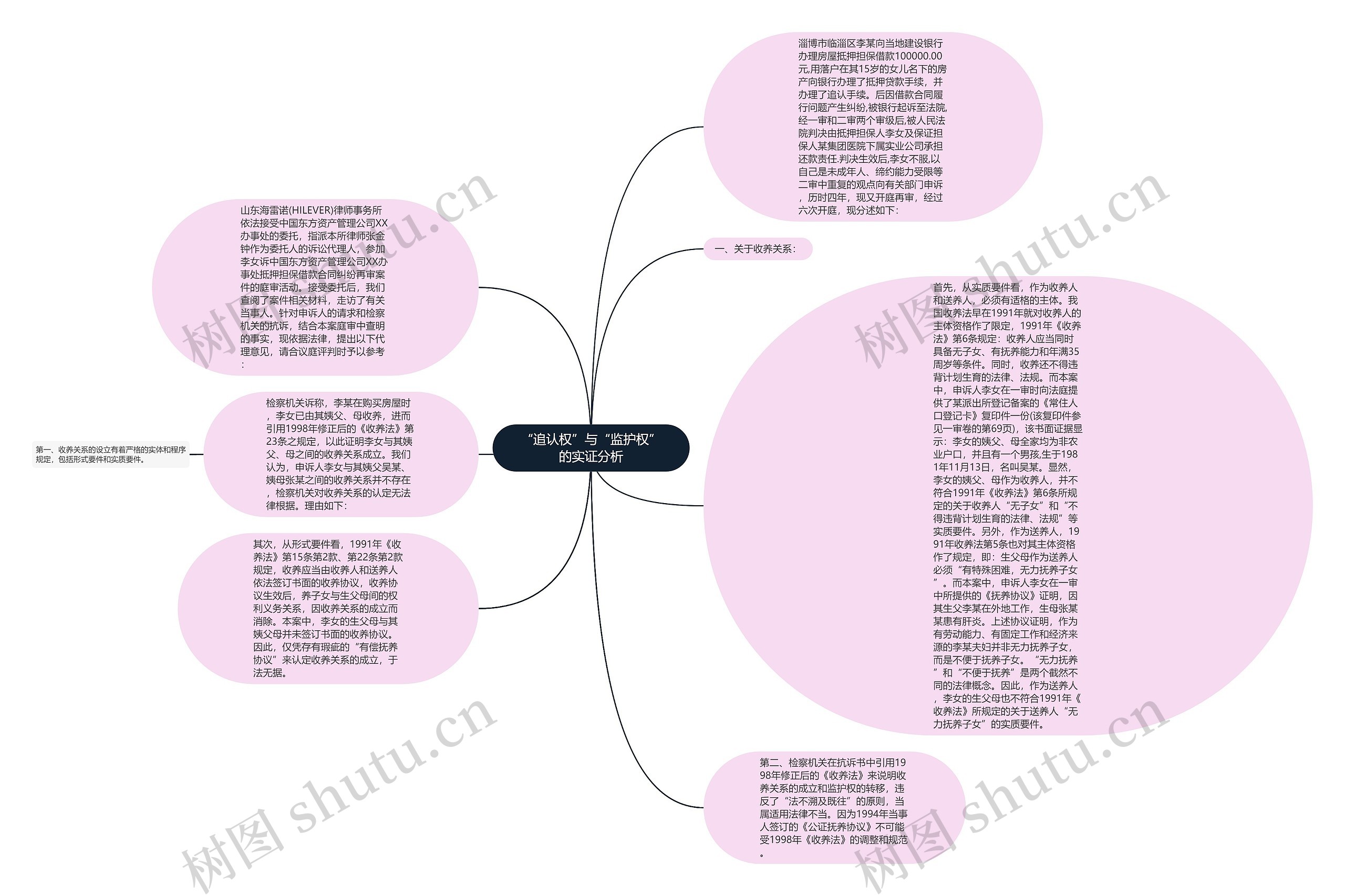 “追认权”与“监护权”的实证分析思维导图