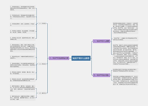 知识产权什么意思