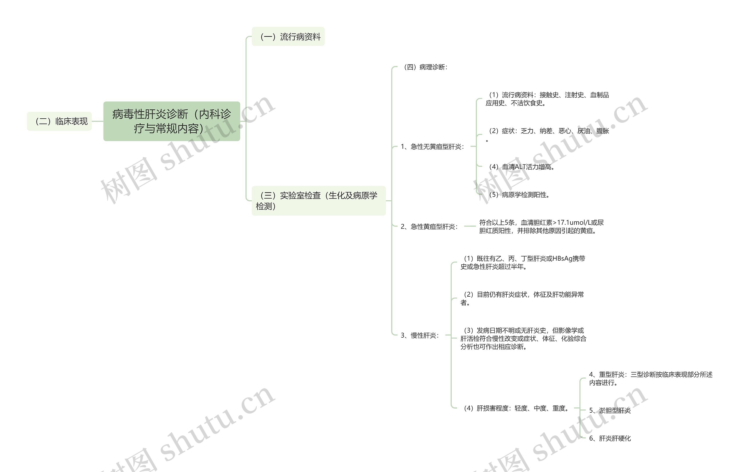 病毒性肝炎诊断（内科诊疗与常规内容）思维导图