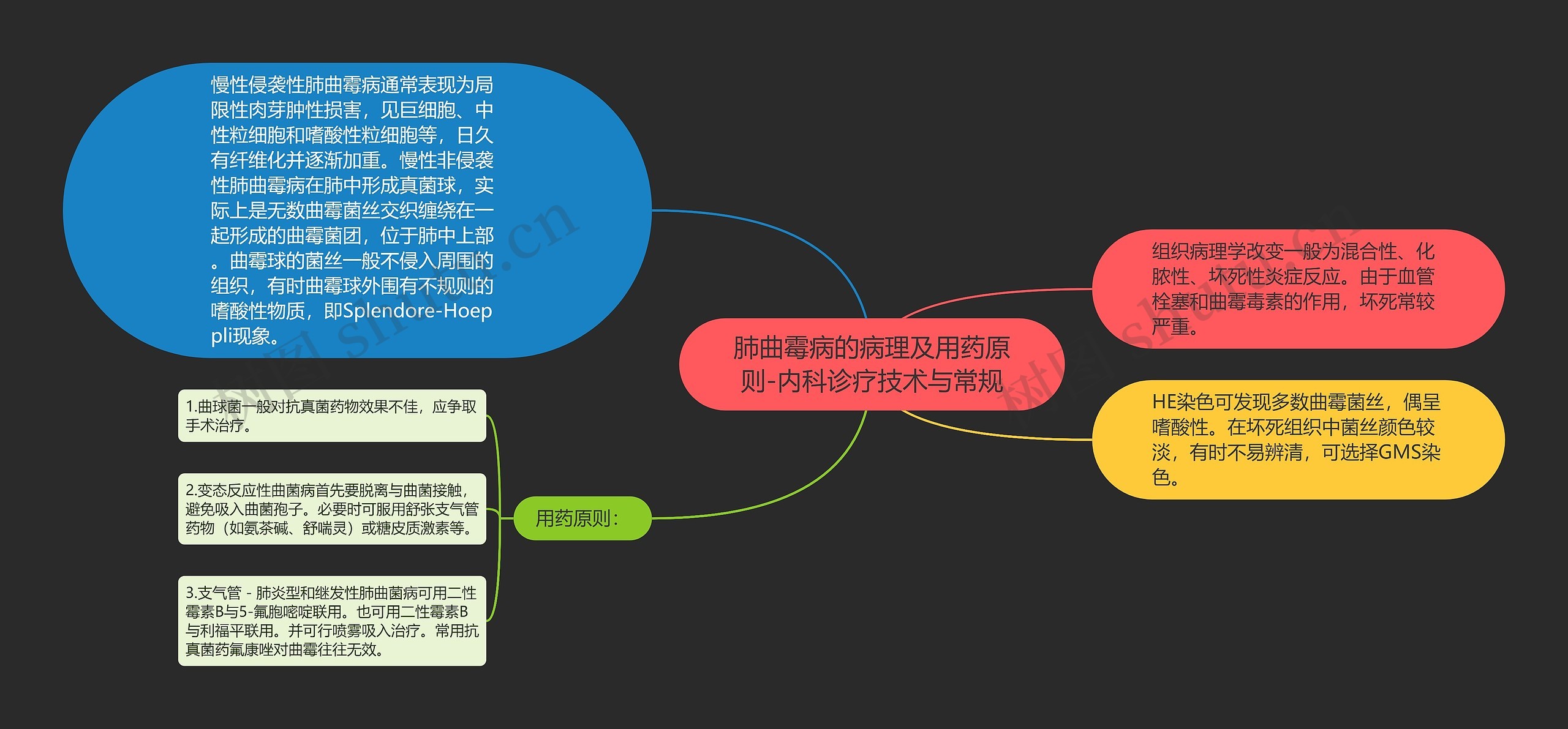 肺曲霉病的病理及用药原则-内科诊疗技术与常规思维导图