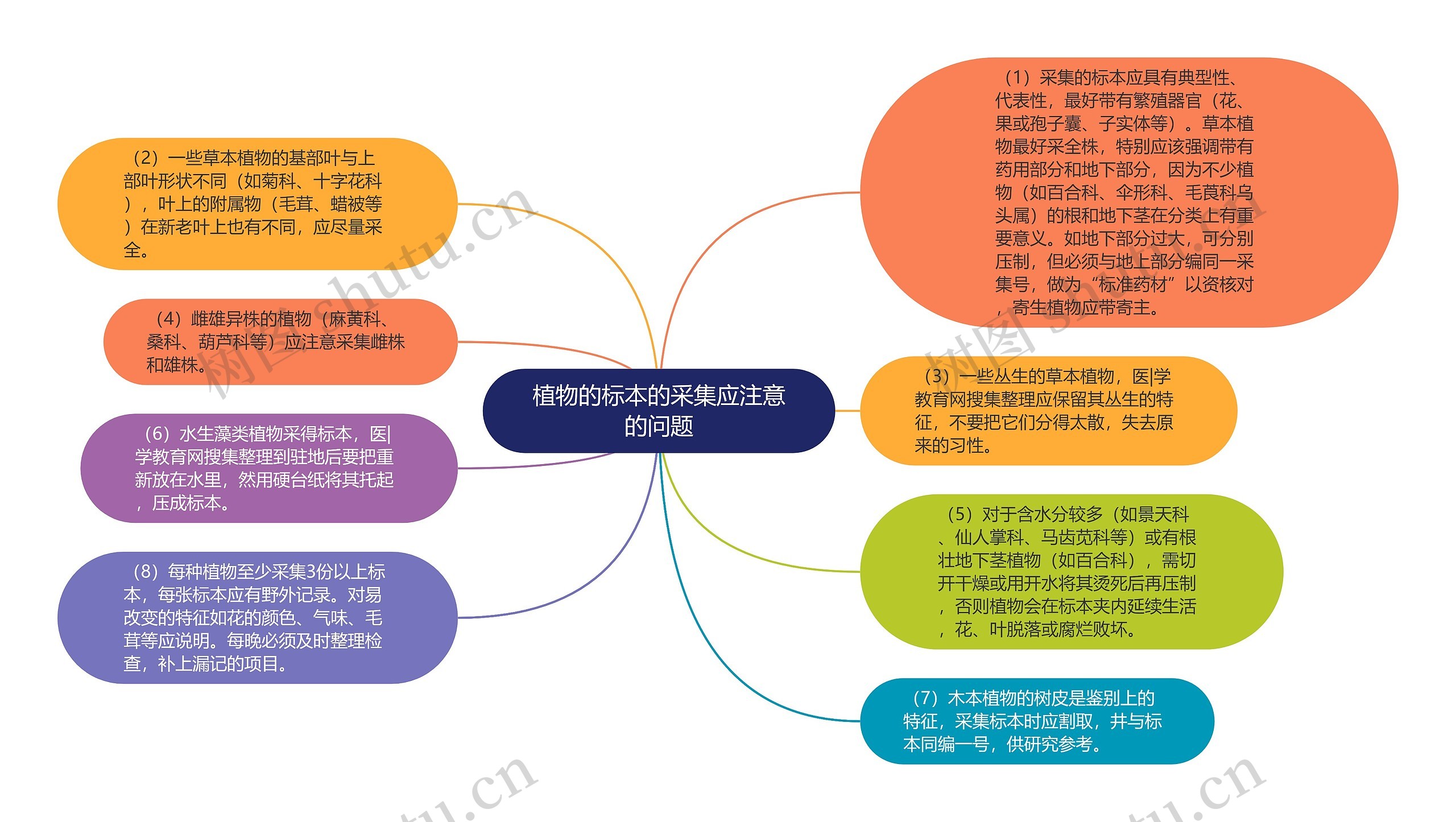 植物的标本的采集应注意的问题思维导图