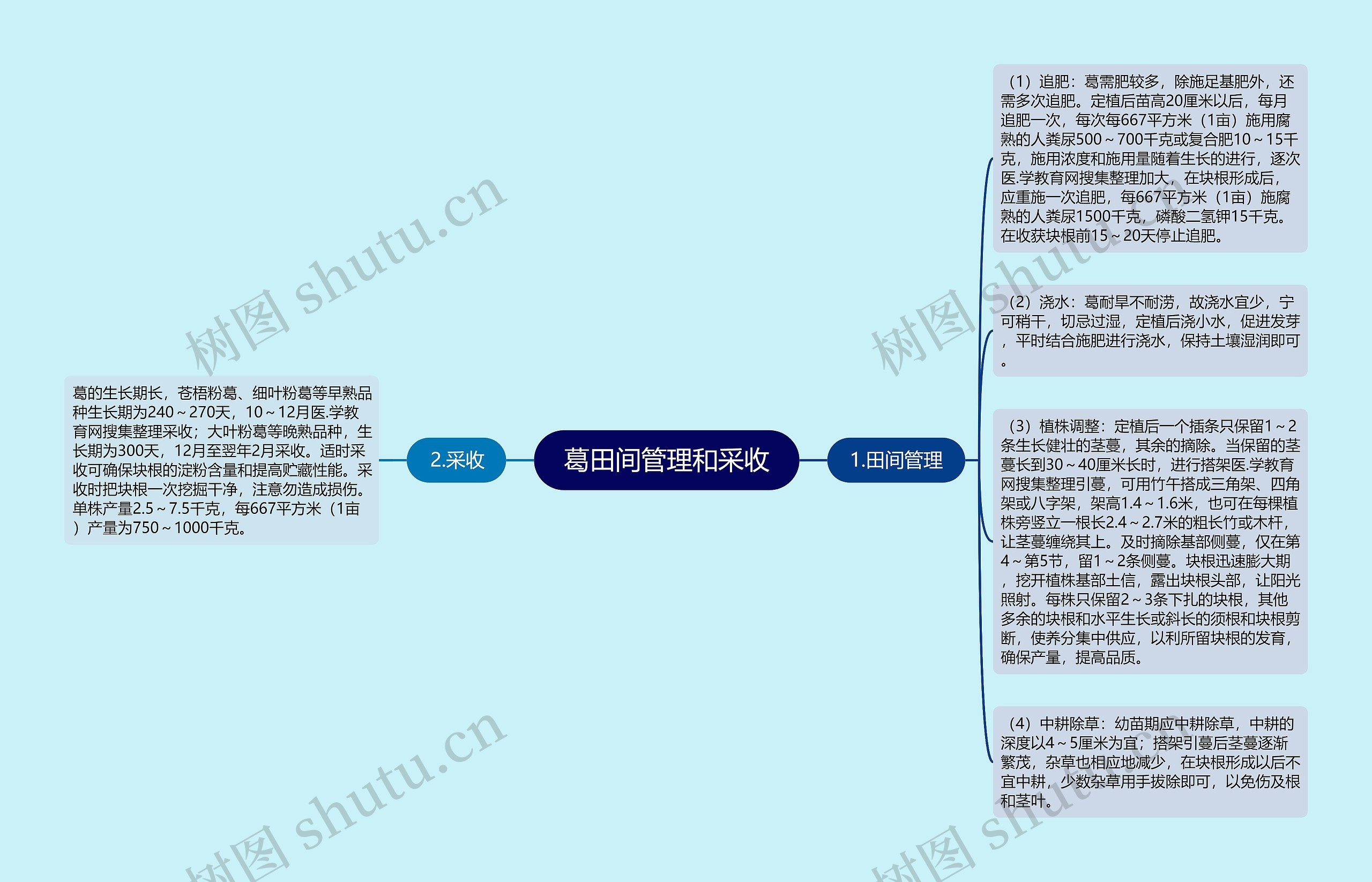 葛田间管理和采收思维导图