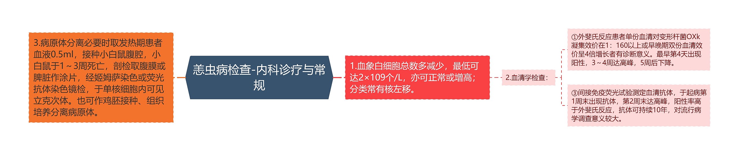 恙虫病检查-内科诊疗与常规思维导图