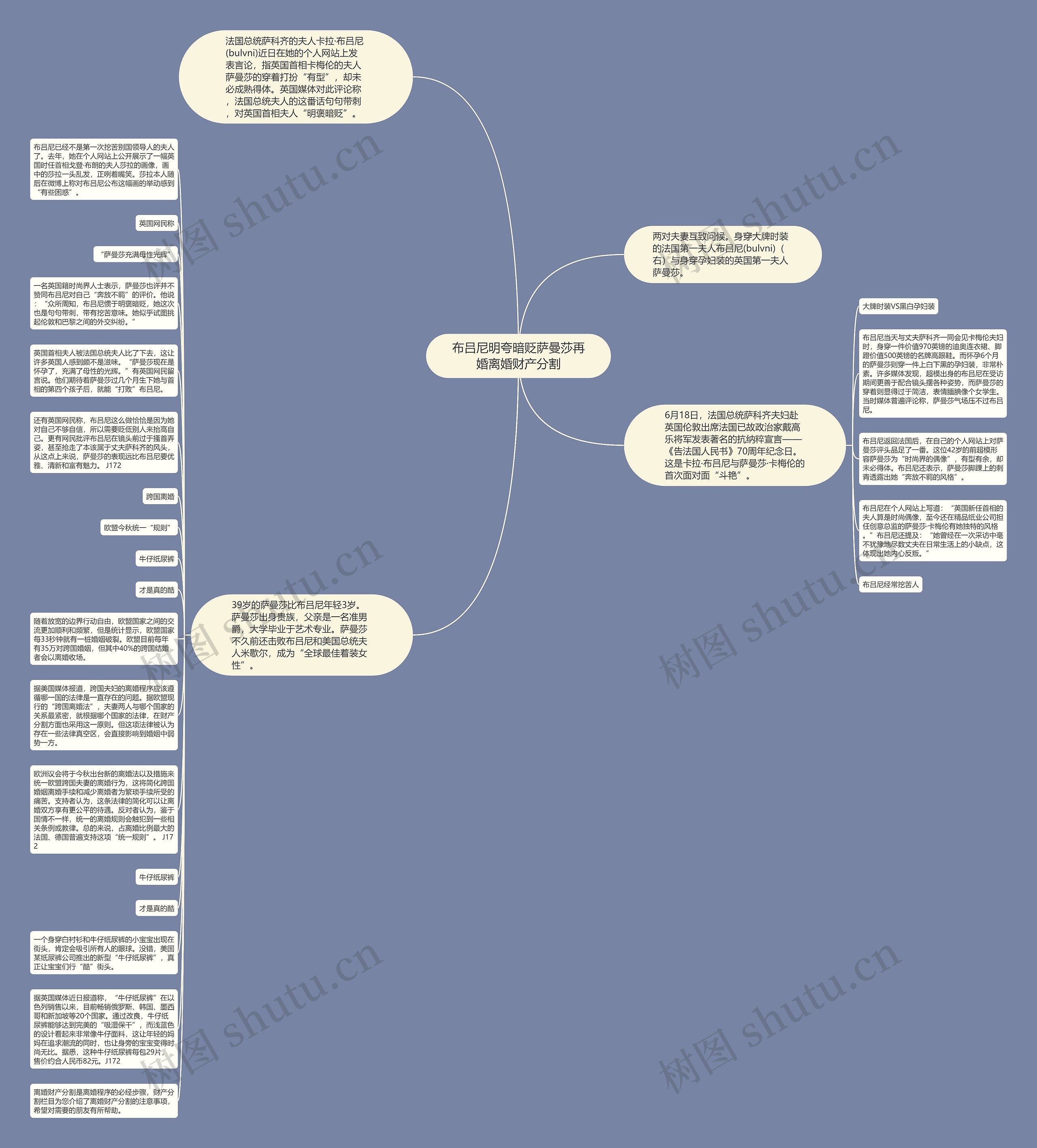 布吕尼明夸暗贬萨曼莎再婚离婚财产分割思维导图