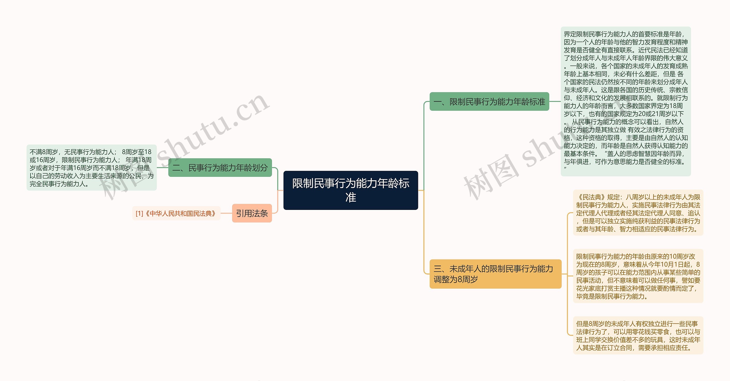 限制民事行为能力年龄标准思维导图