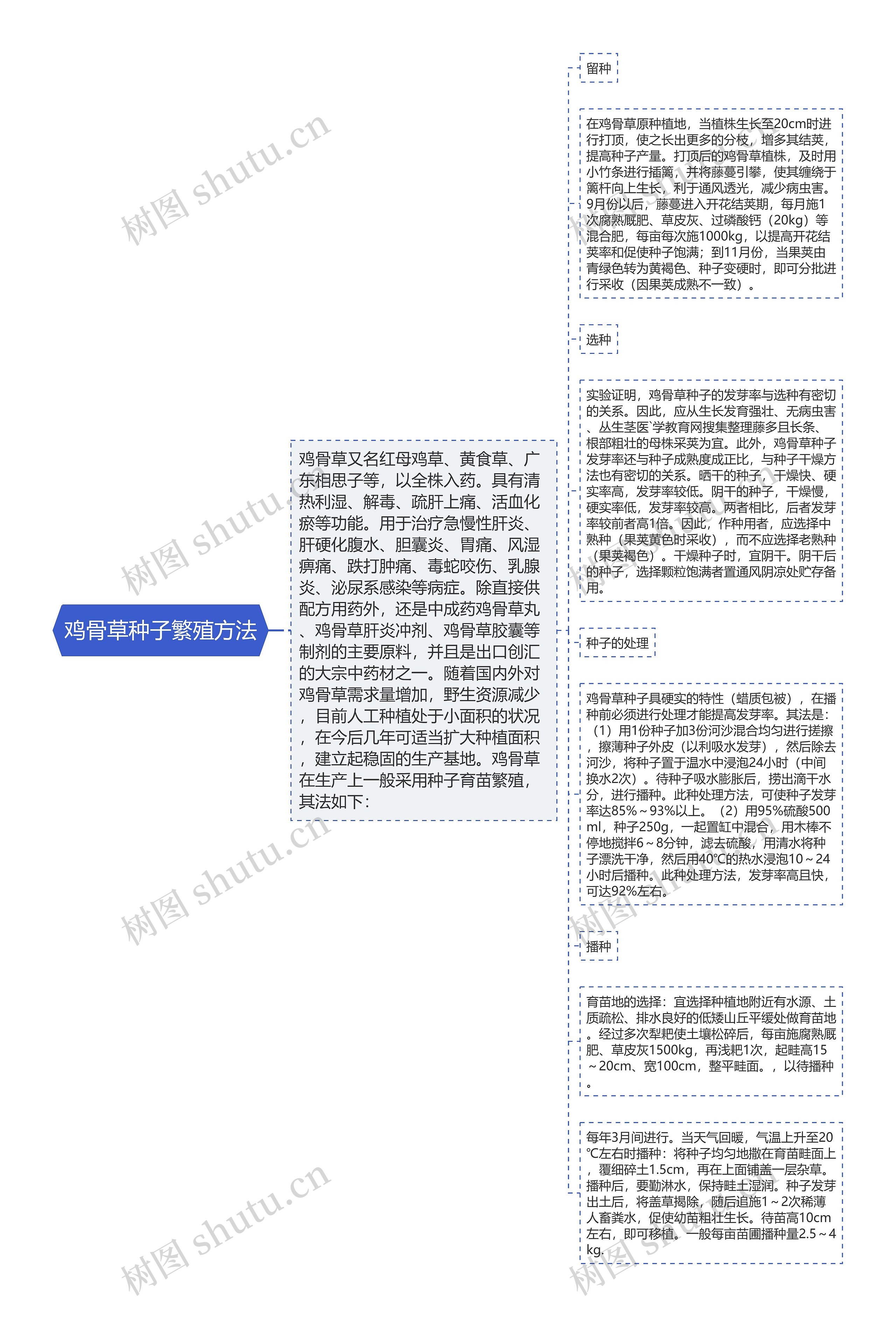 鸡骨草种子繁殖方法思维导图