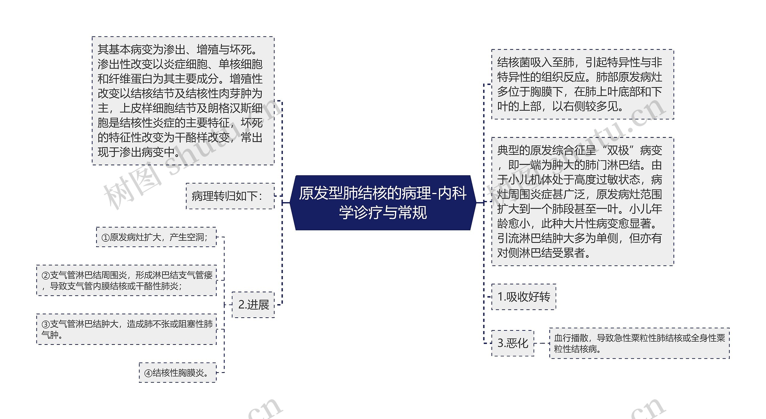 原发型肺结核的病理-内科学诊疗与常规思维导图