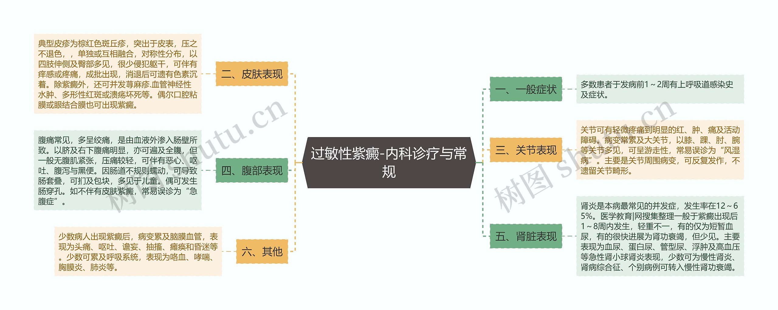 过敏性紫癜-内科诊疗与常规