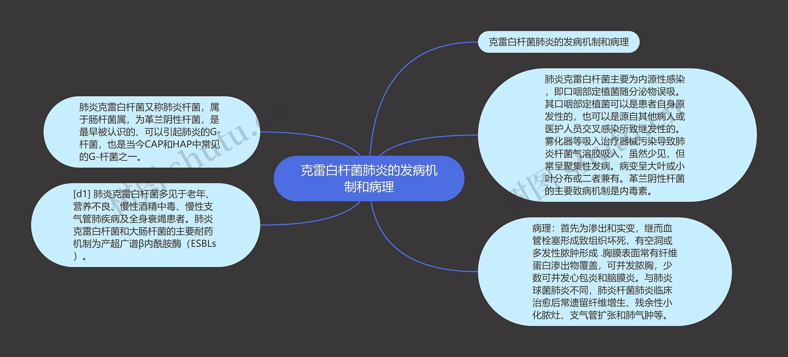 克雷白杆菌肺炎的发病机制和病理思维导图