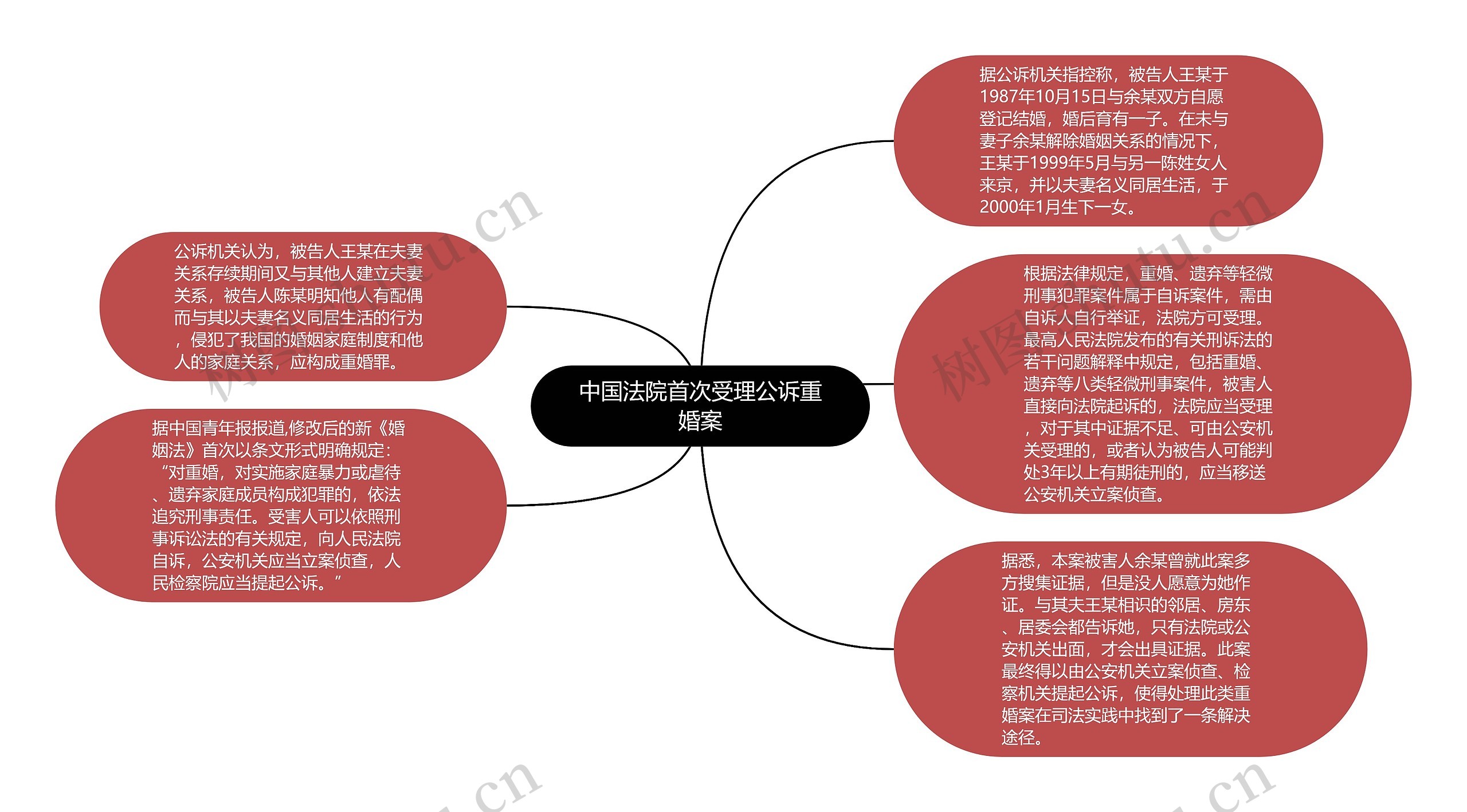 中国法院首次受理公诉重婚案思维导图