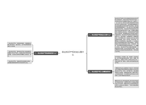 自主知识产权的定义是什么
