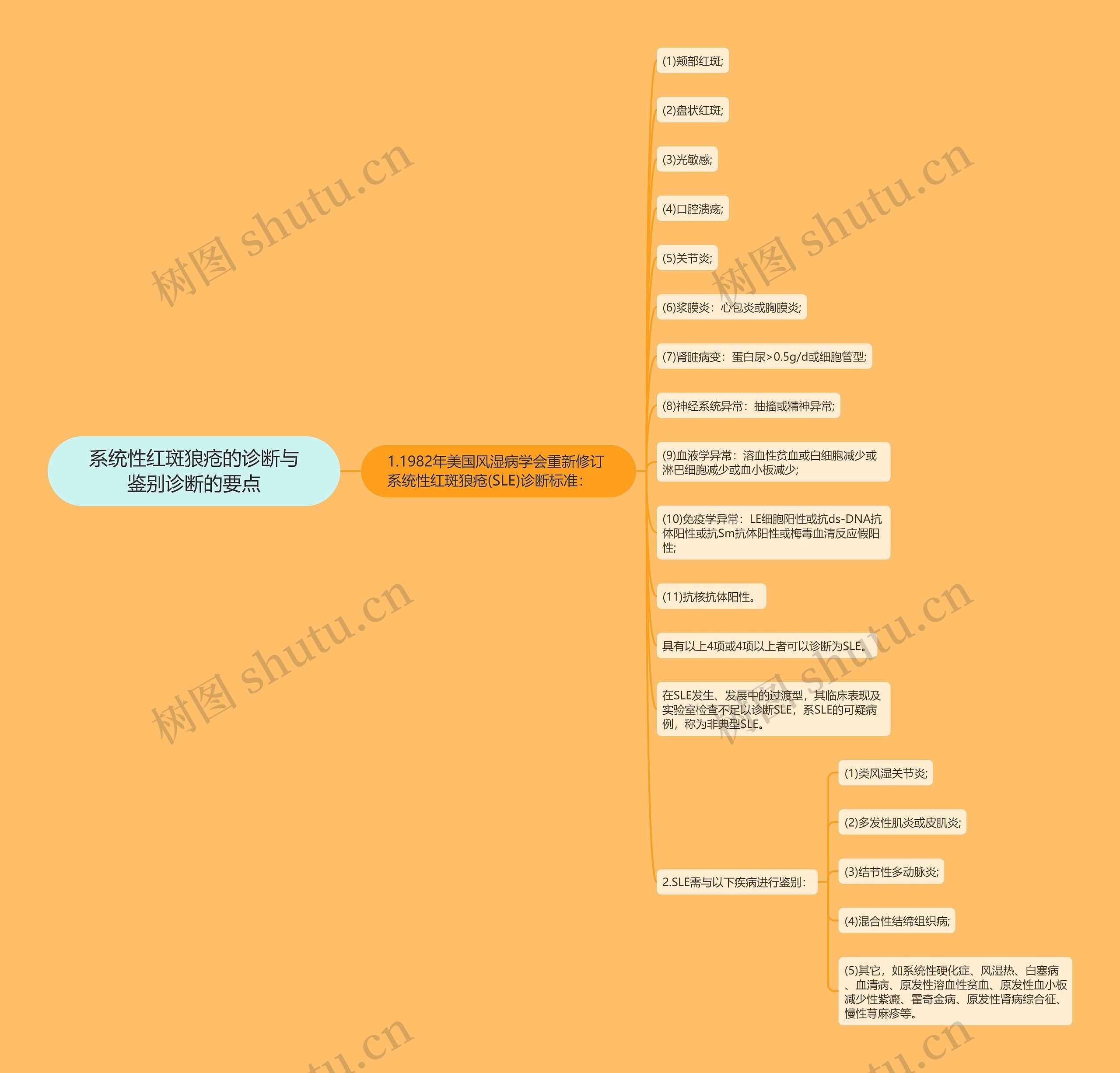 系统性红斑狼疮的诊断与鉴别诊断的要点思维导图