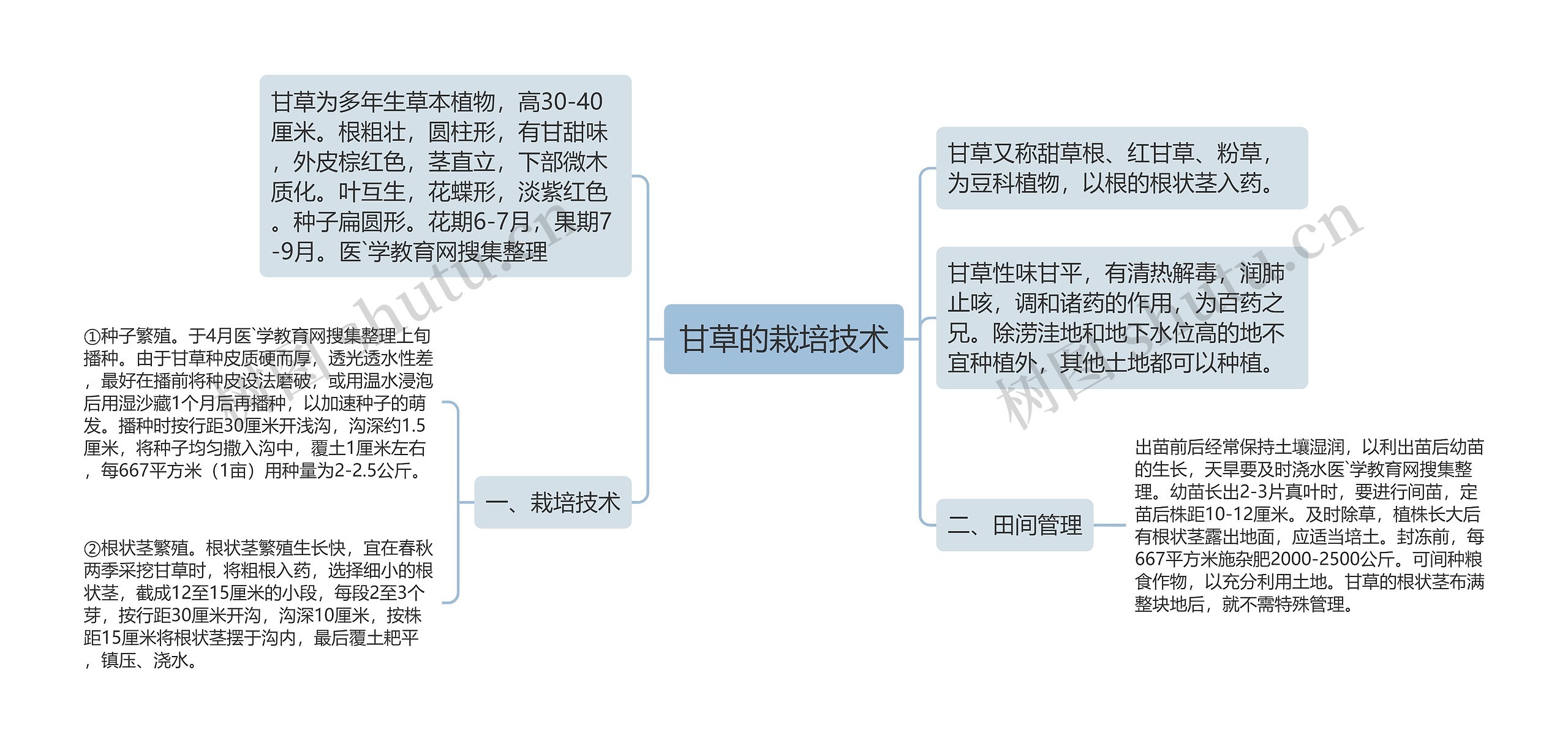 甘草的栽培技术思维导图