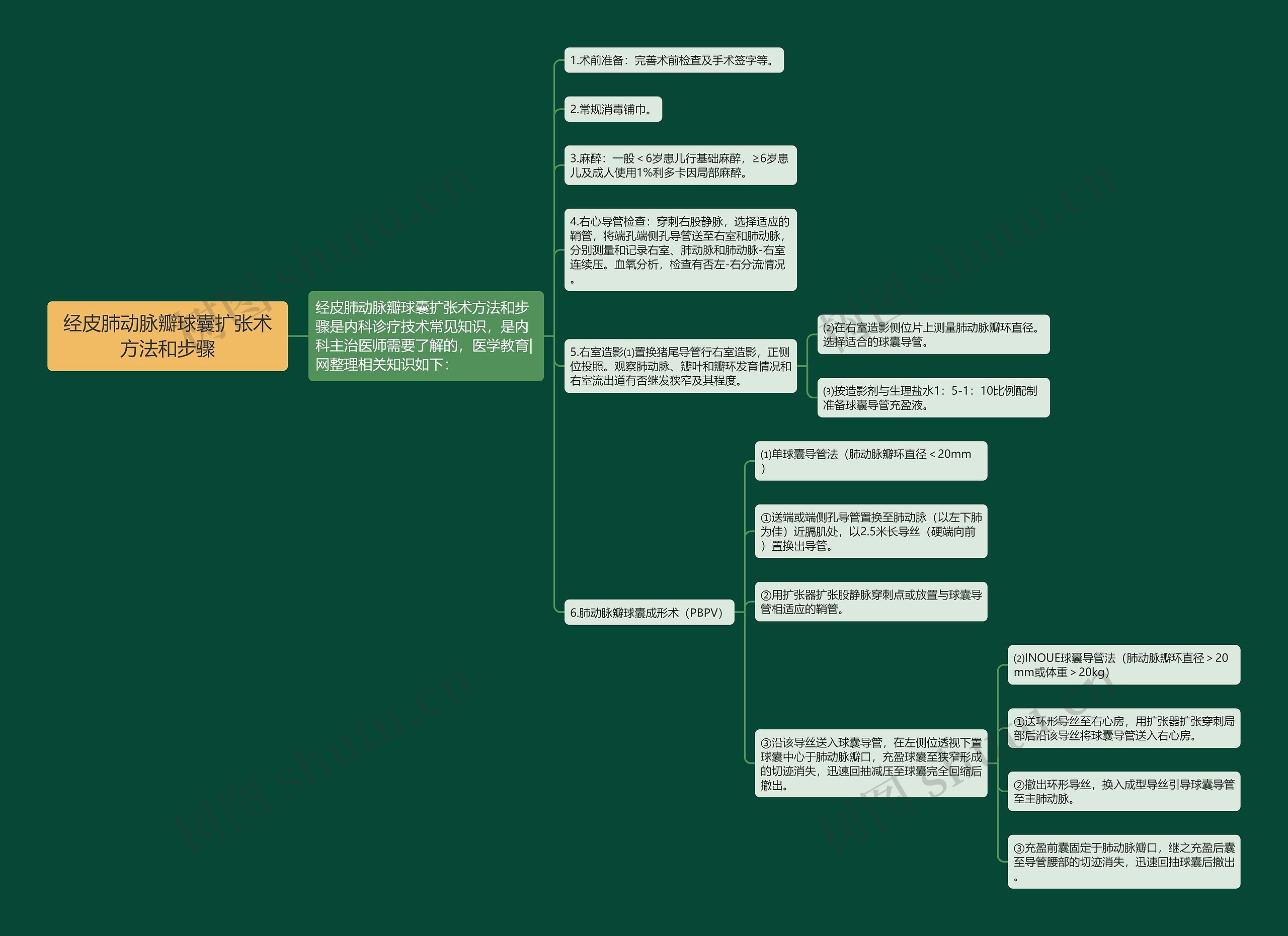 经皮肺动脉瓣球囊扩张术方法和步骤