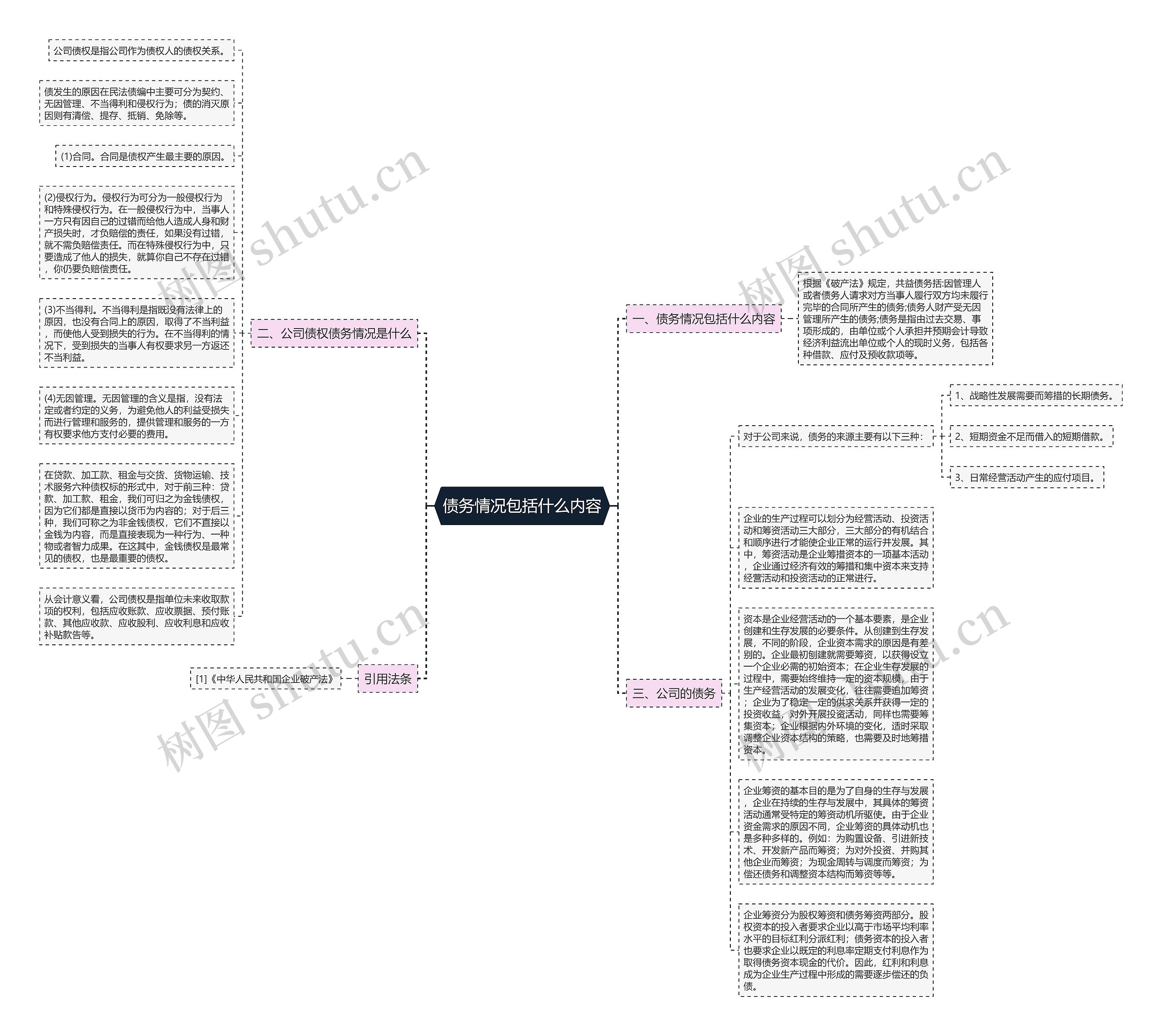 债务情况包括什么内容思维导图