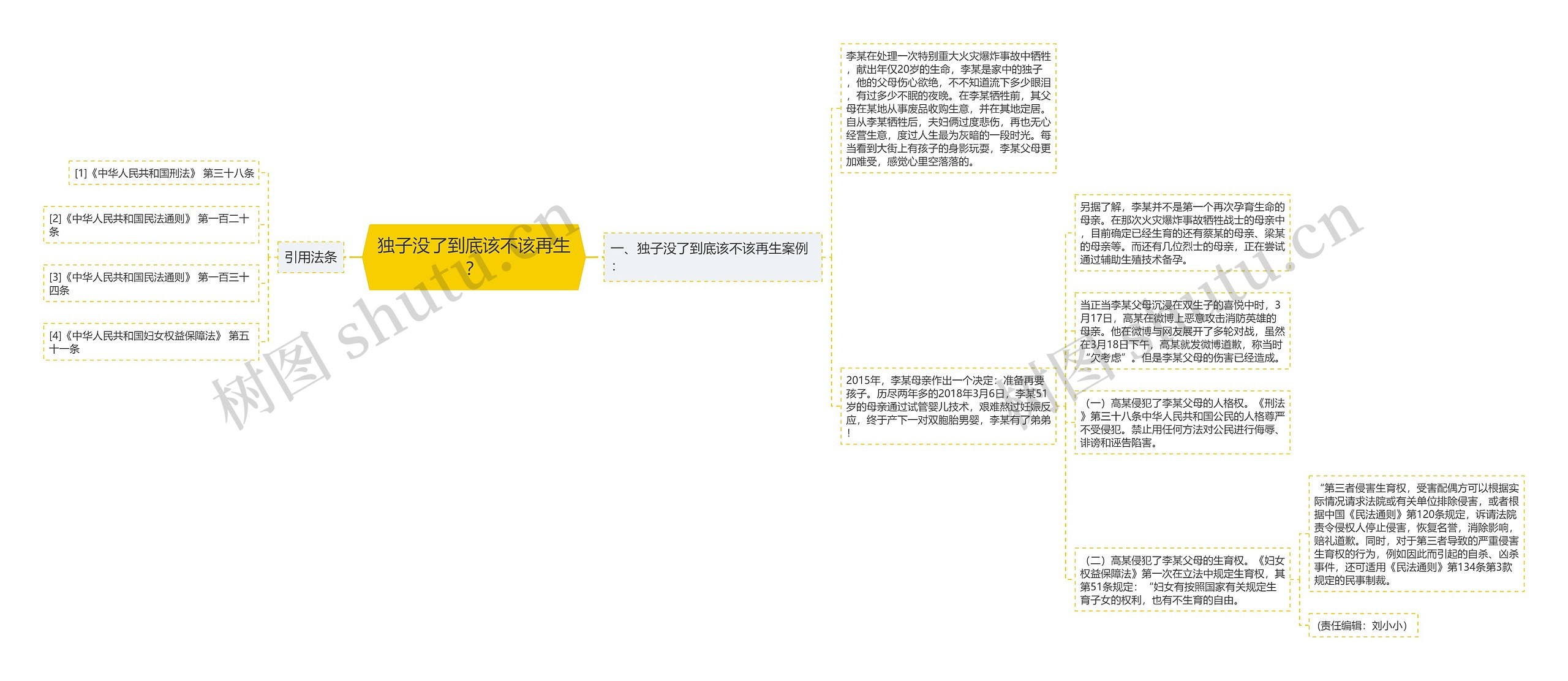 独子没了到底该不该再生？思维导图