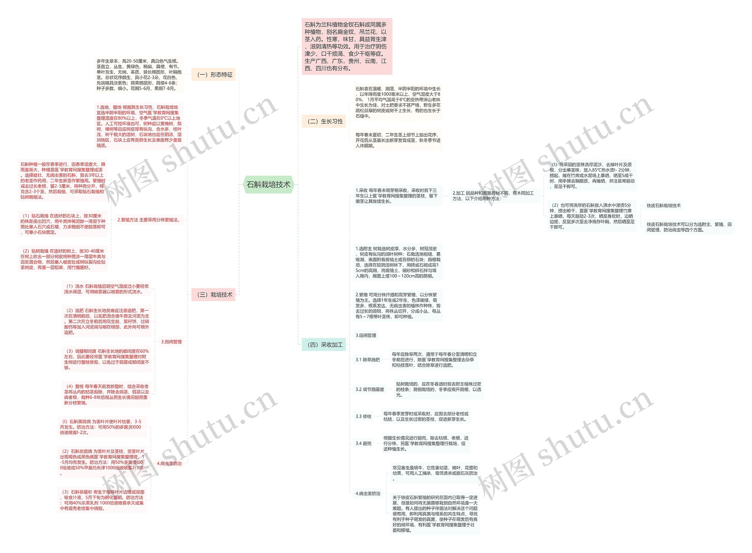 石斛栽培技术 石斛栽培技术