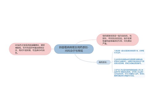 肺曲霉病病理及用药原则-内科诊疗与常规