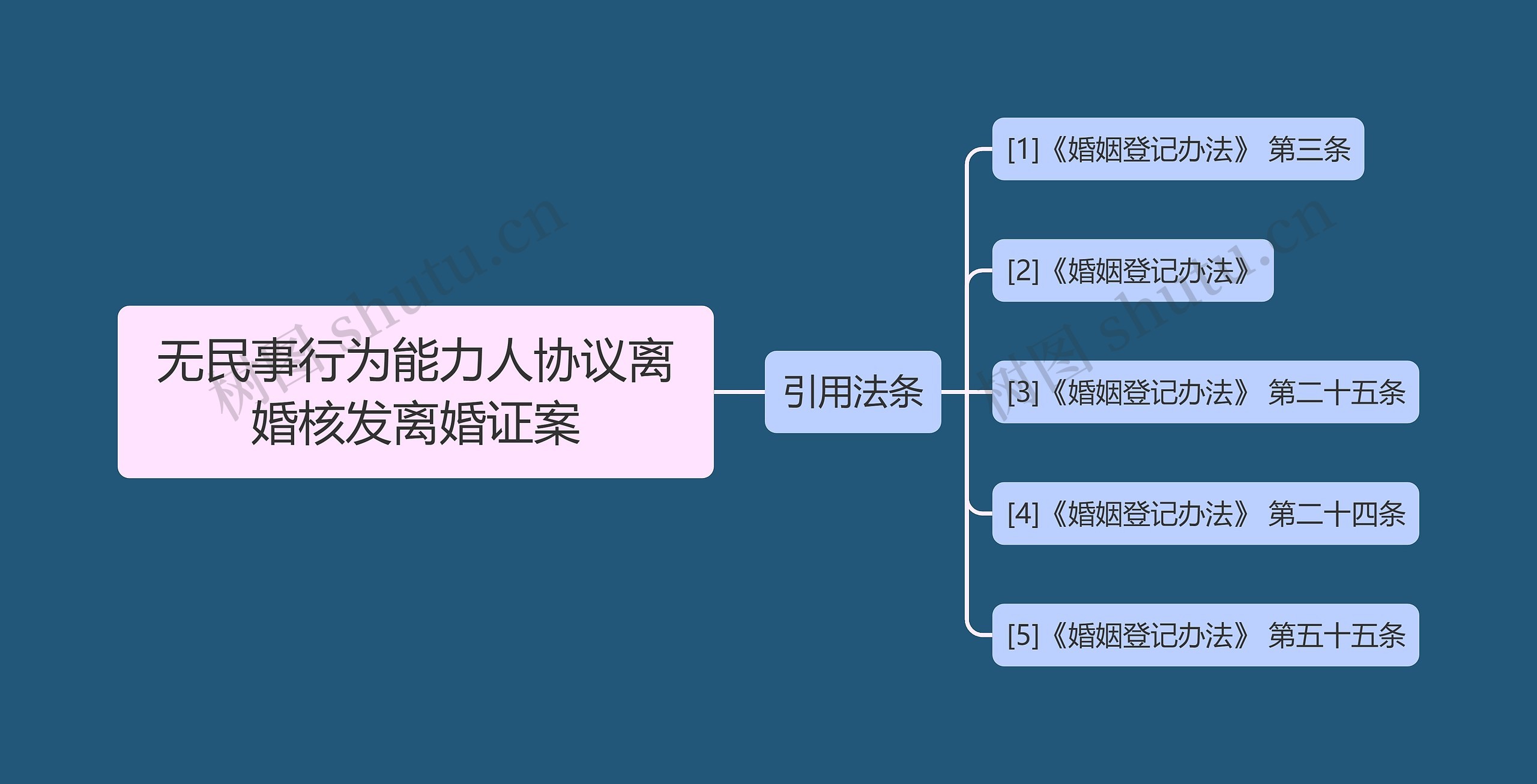 无民事行为能力人协议离婚核发离婚证案思维导图