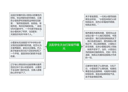 沈阳学生天台打架细节曝光