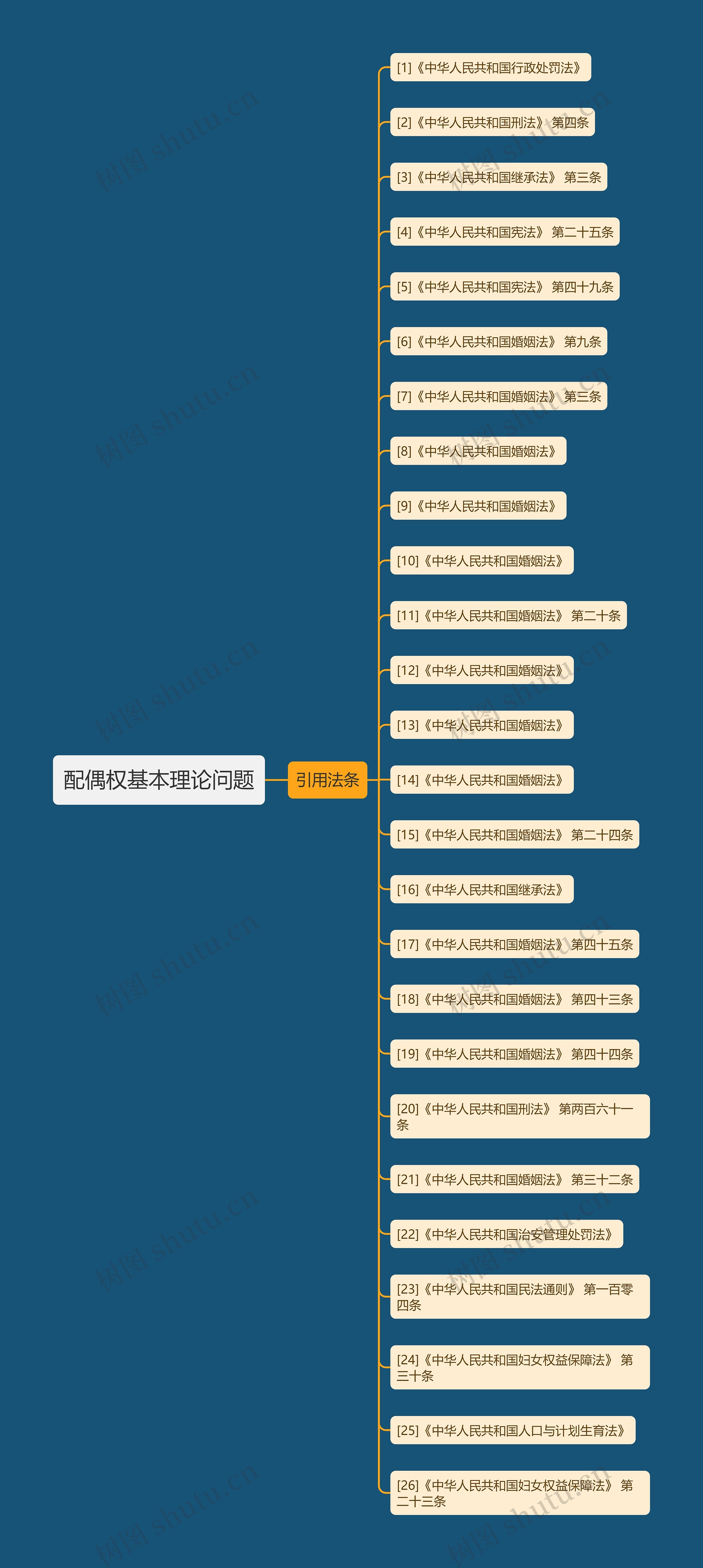 配偶权基本理论问题思维导图