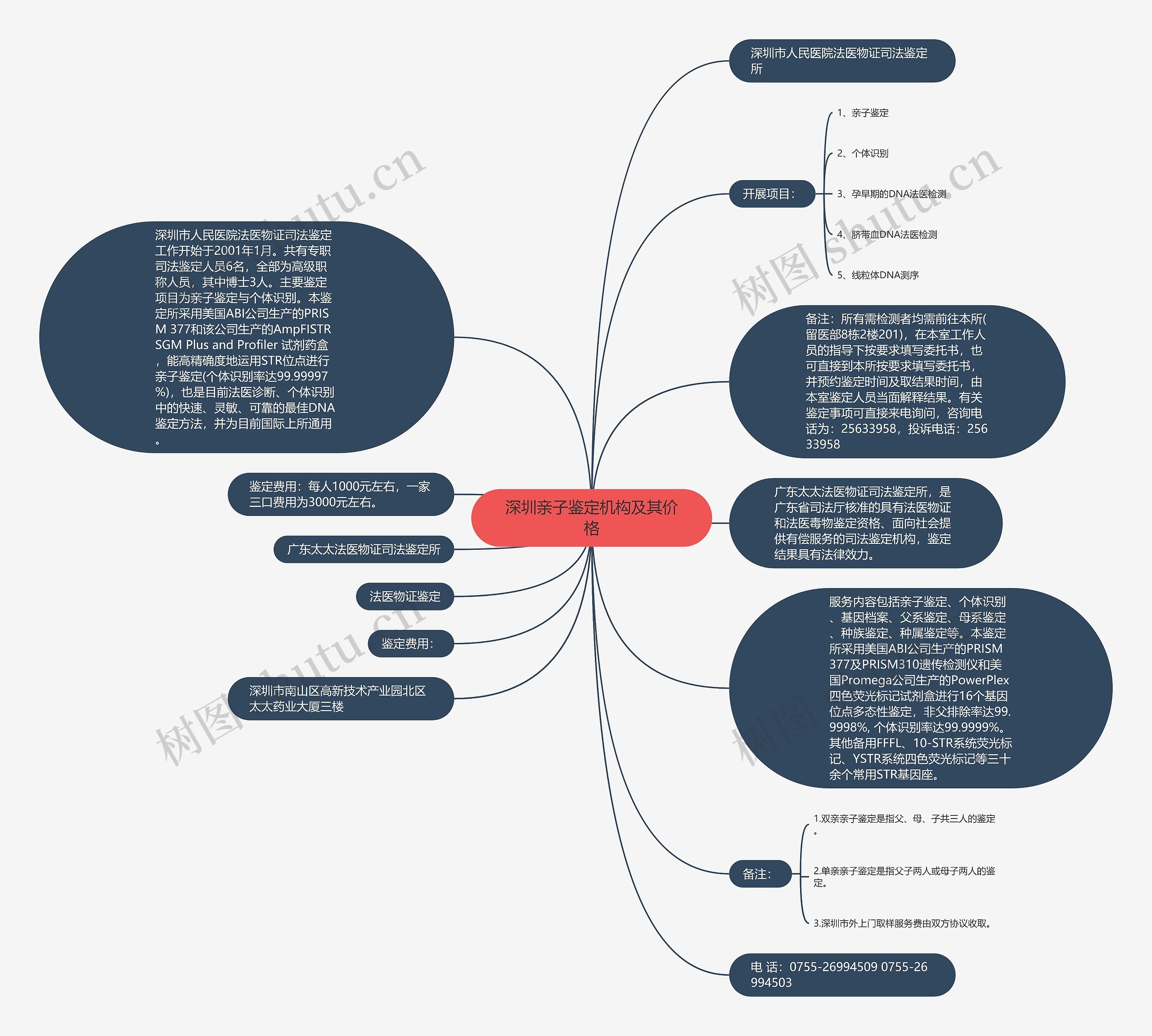深圳亲子鉴定机构及其价格思维导图