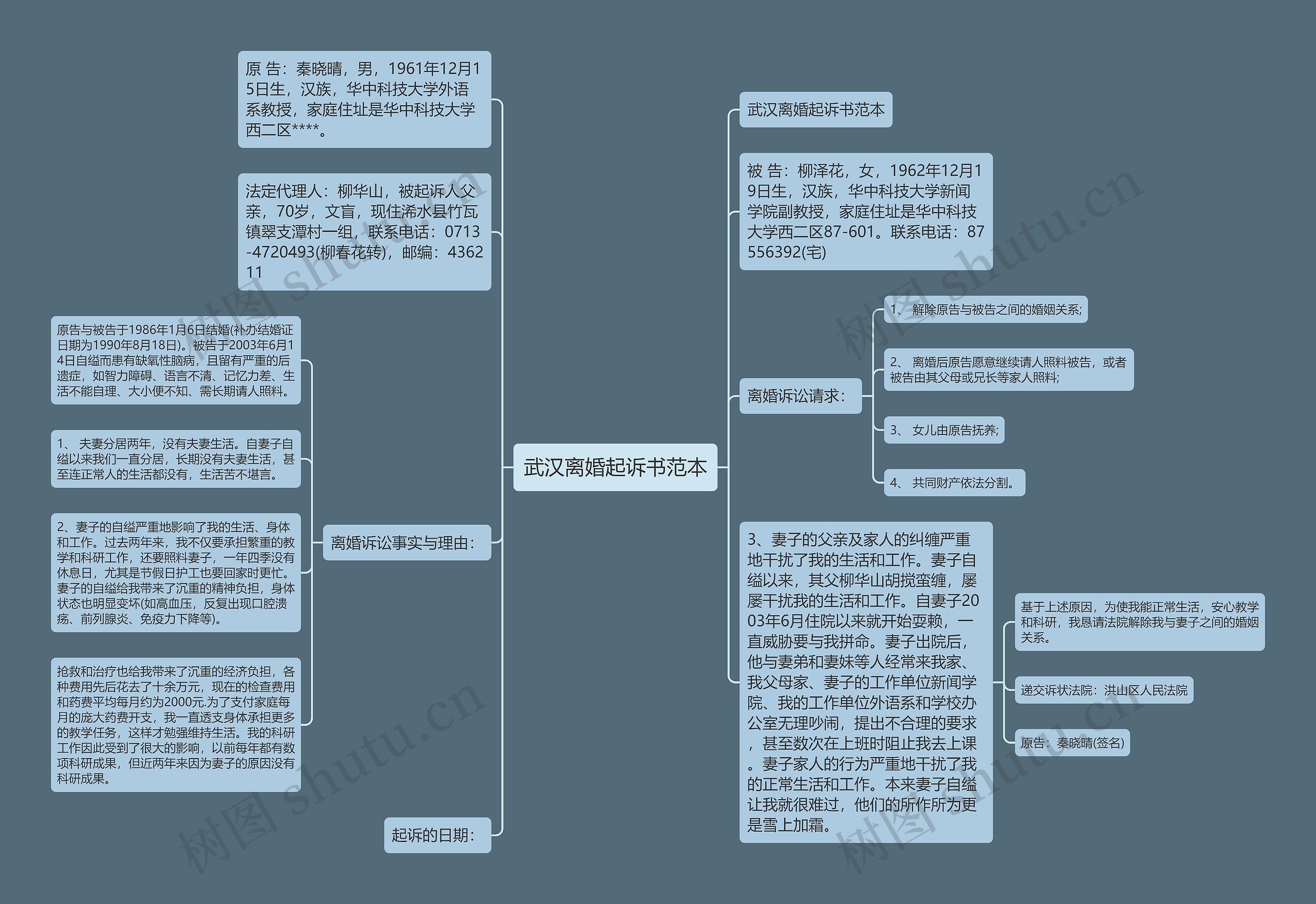 武汉离婚起诉书范本思维导图