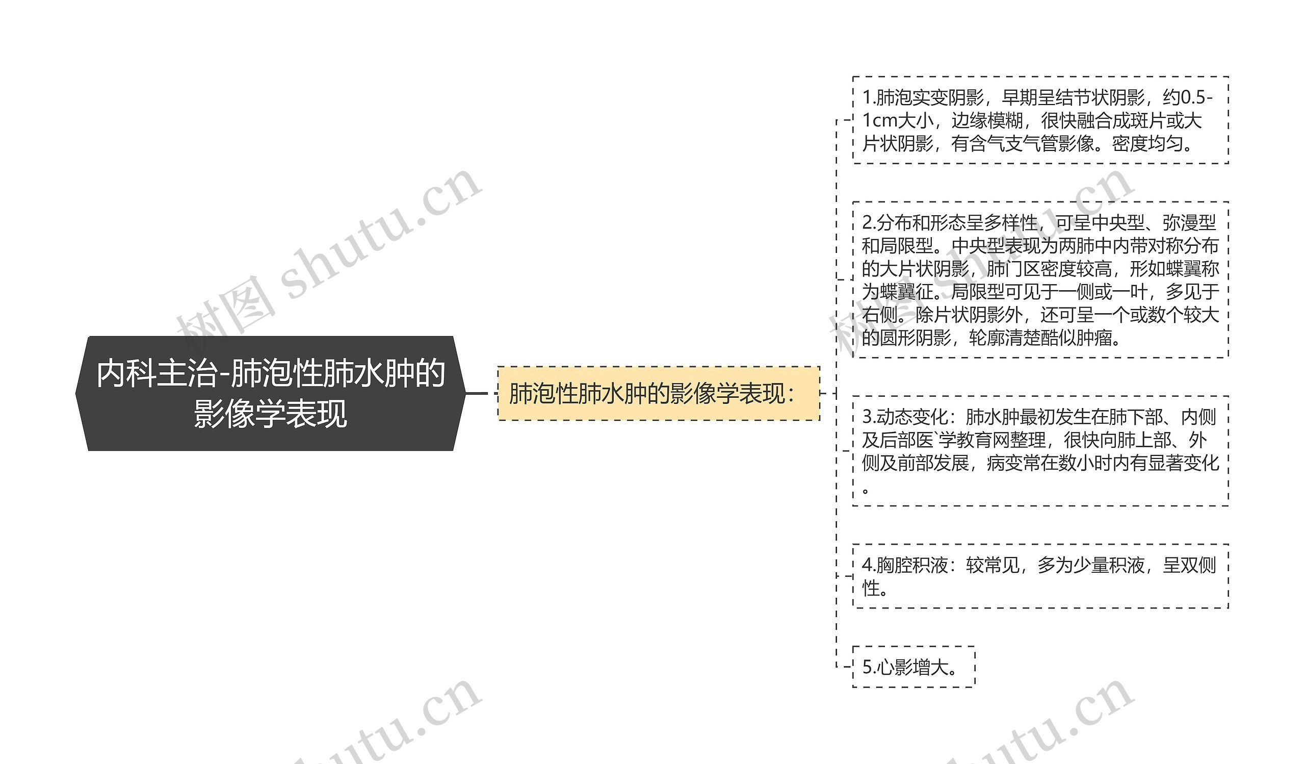 内科主治-肺泡性肺水肿的影像学表现思维导图