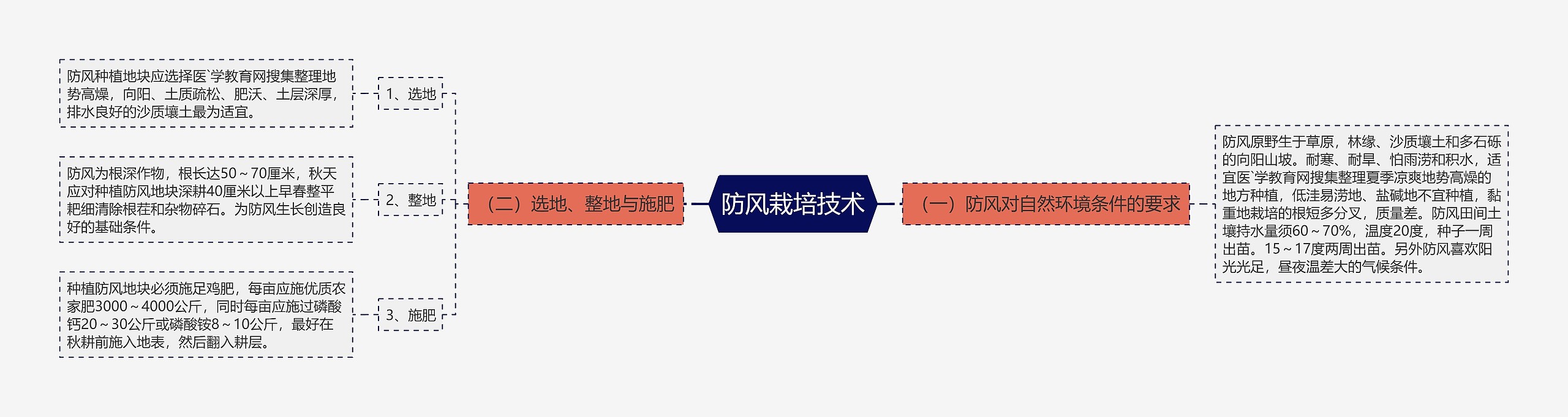 防风栽培技术思维导图