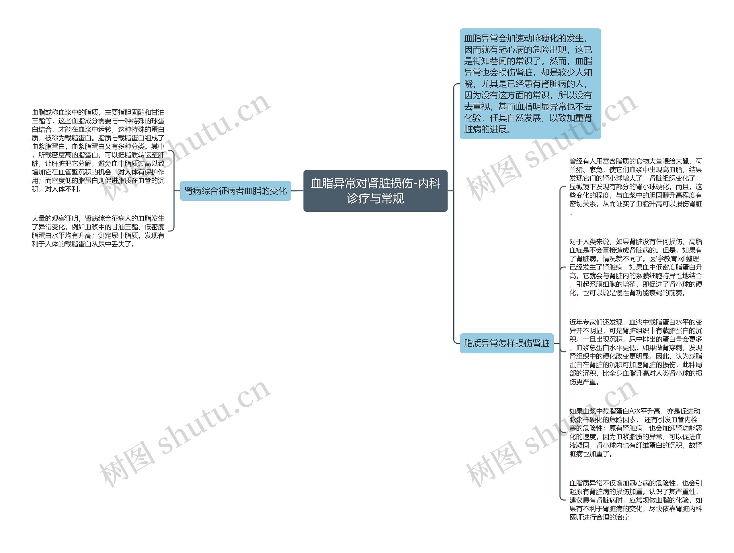 血脂异常对肾脏损伤-内科诊疗与常规