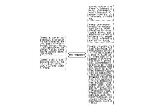 蔓荆子的栽培技术思维导图