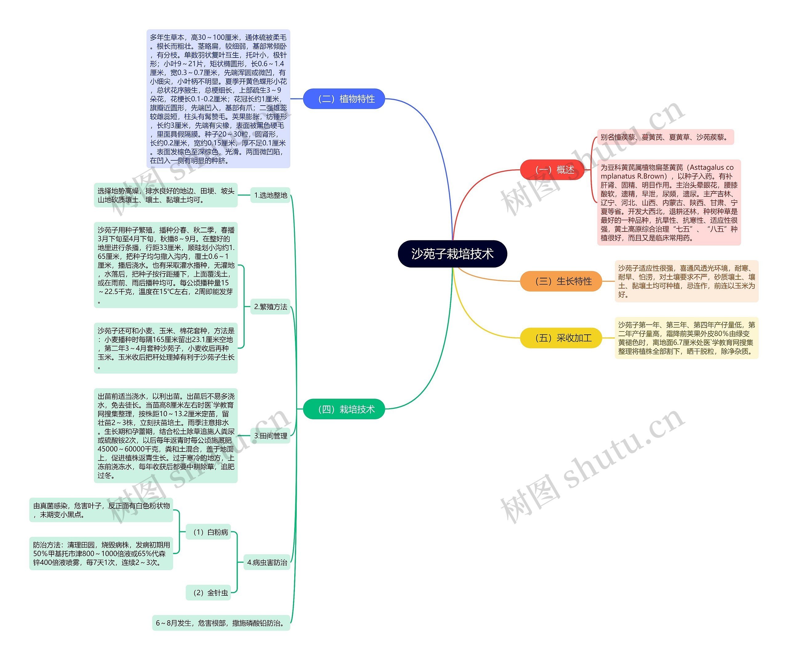 沙苑子栽培技术思维导图