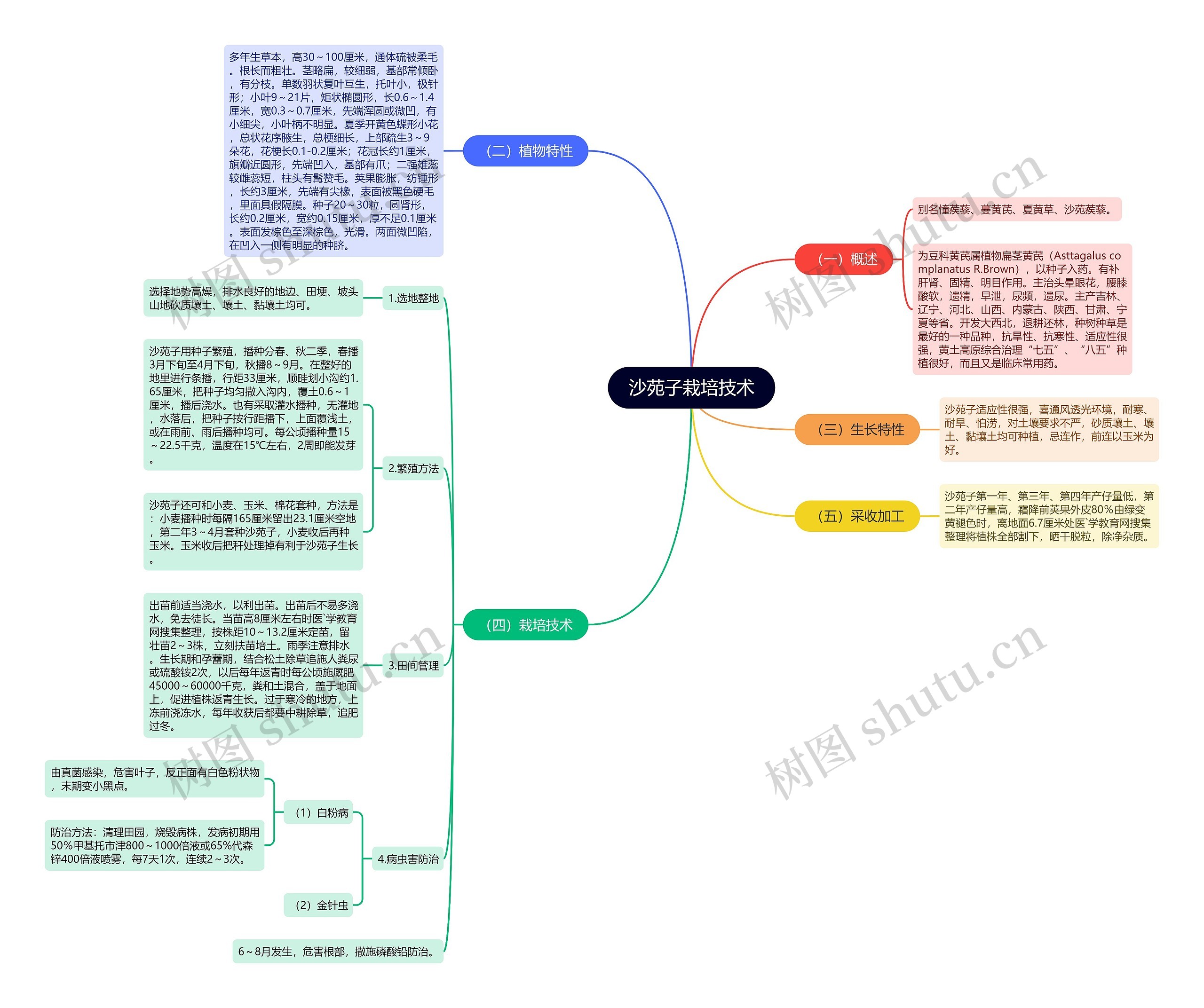 沙苑子栽培技术 沙苑子栽培技术