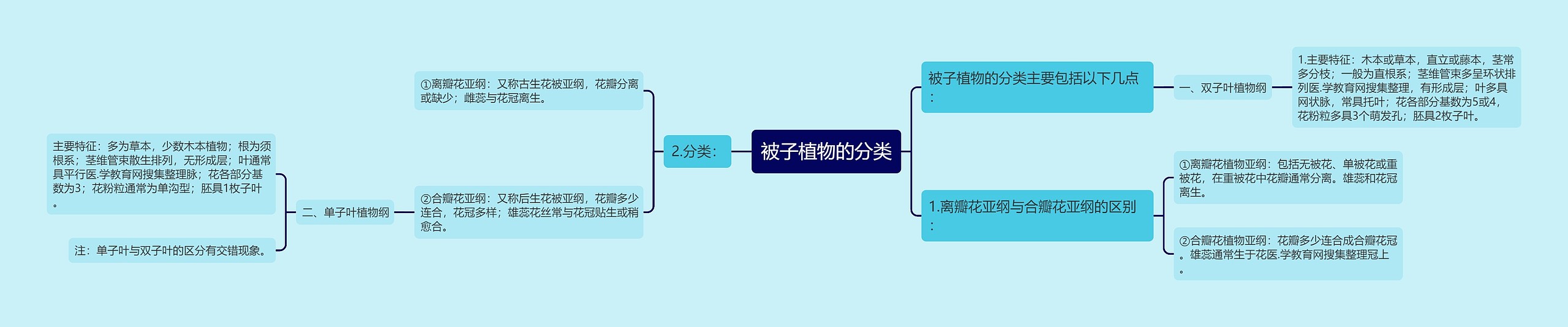 被子植物的分类思维导图