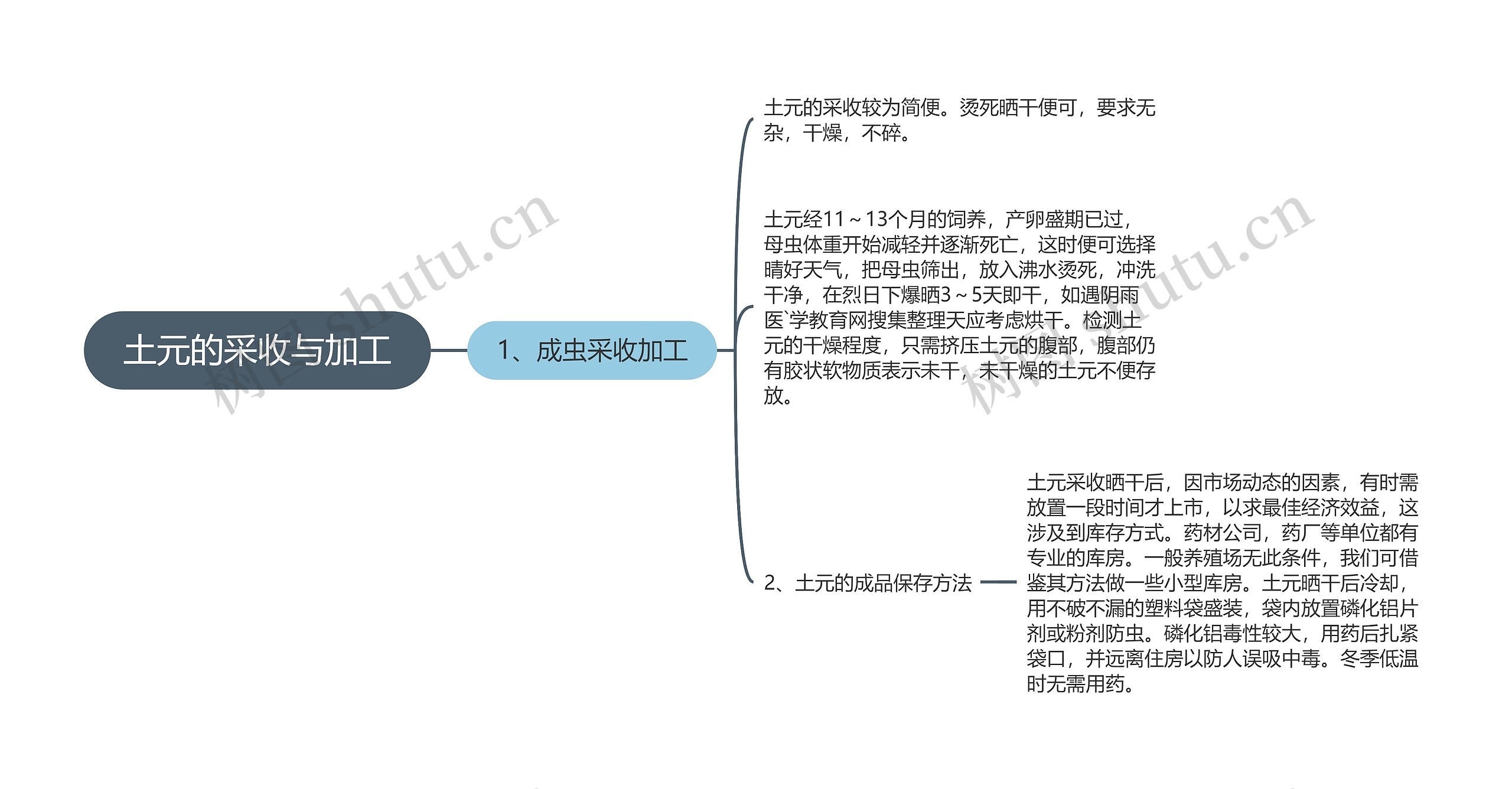 土元的采收与加工思维导图