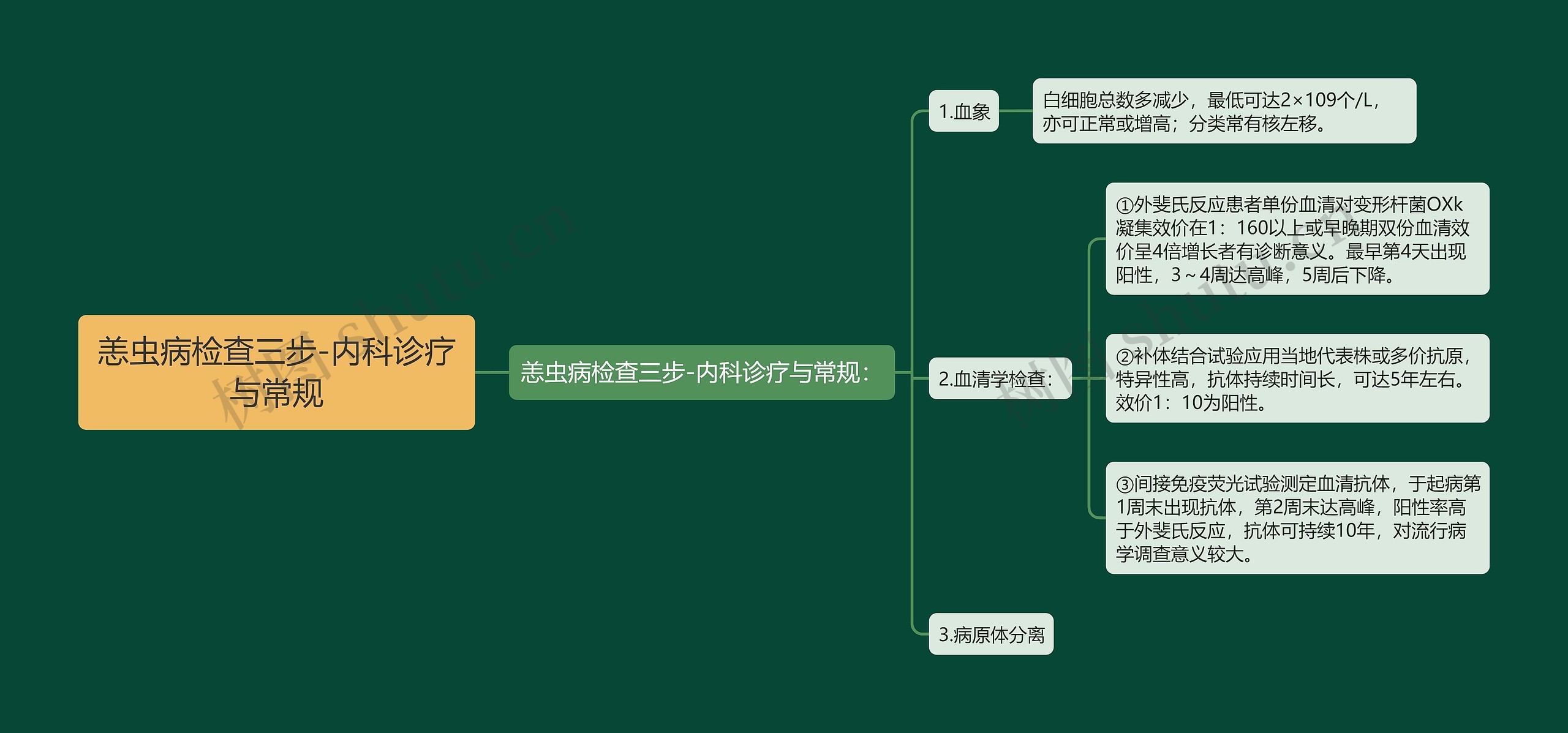 恙虫病检查三步-内科诊疗与常规