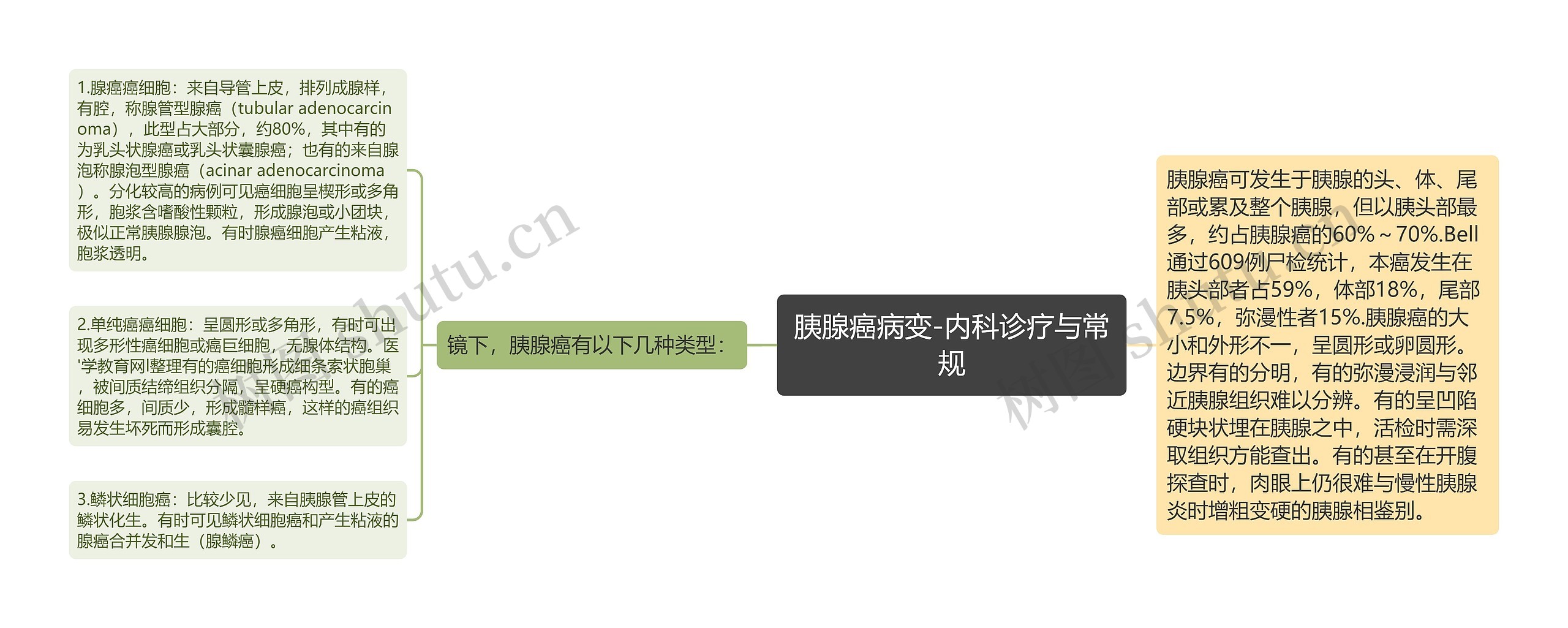 胰腺癌病变-内科诊疗与常规 胰腺癌病变-内科诊疗与常规