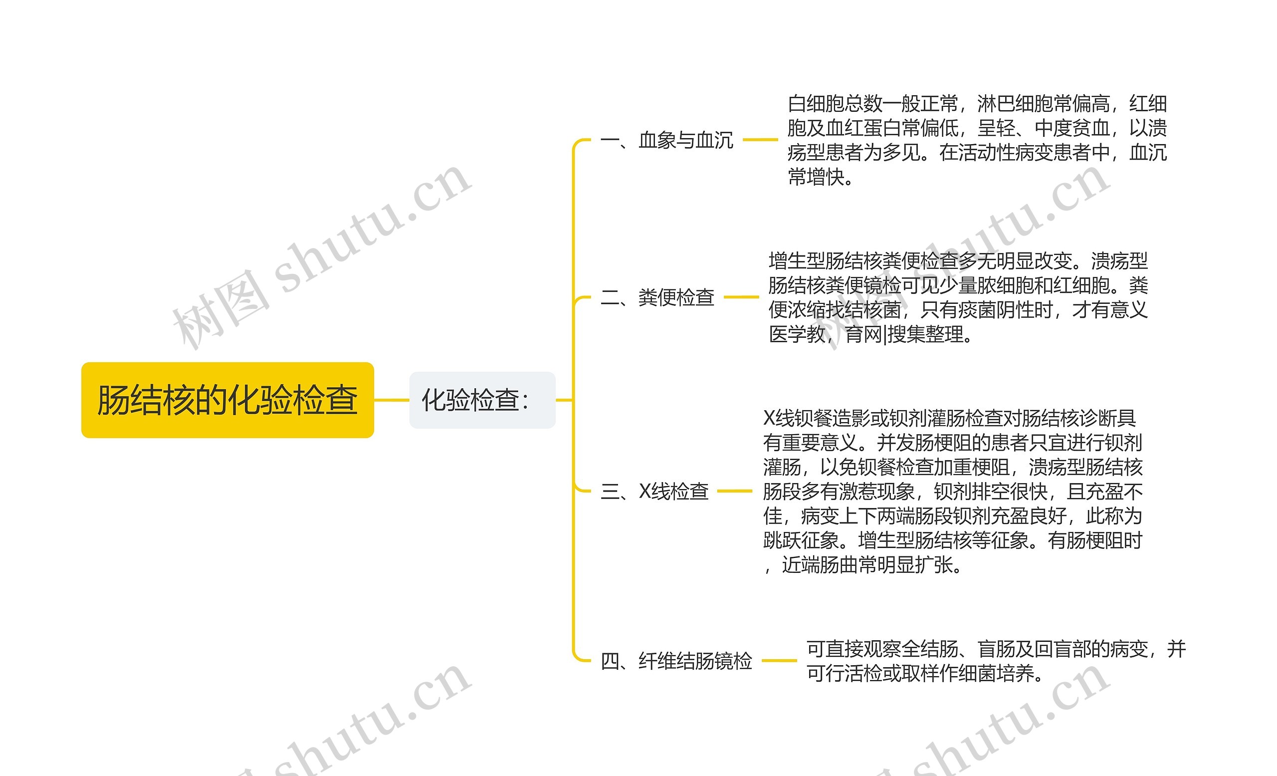 肠结核的化验检查思维导图